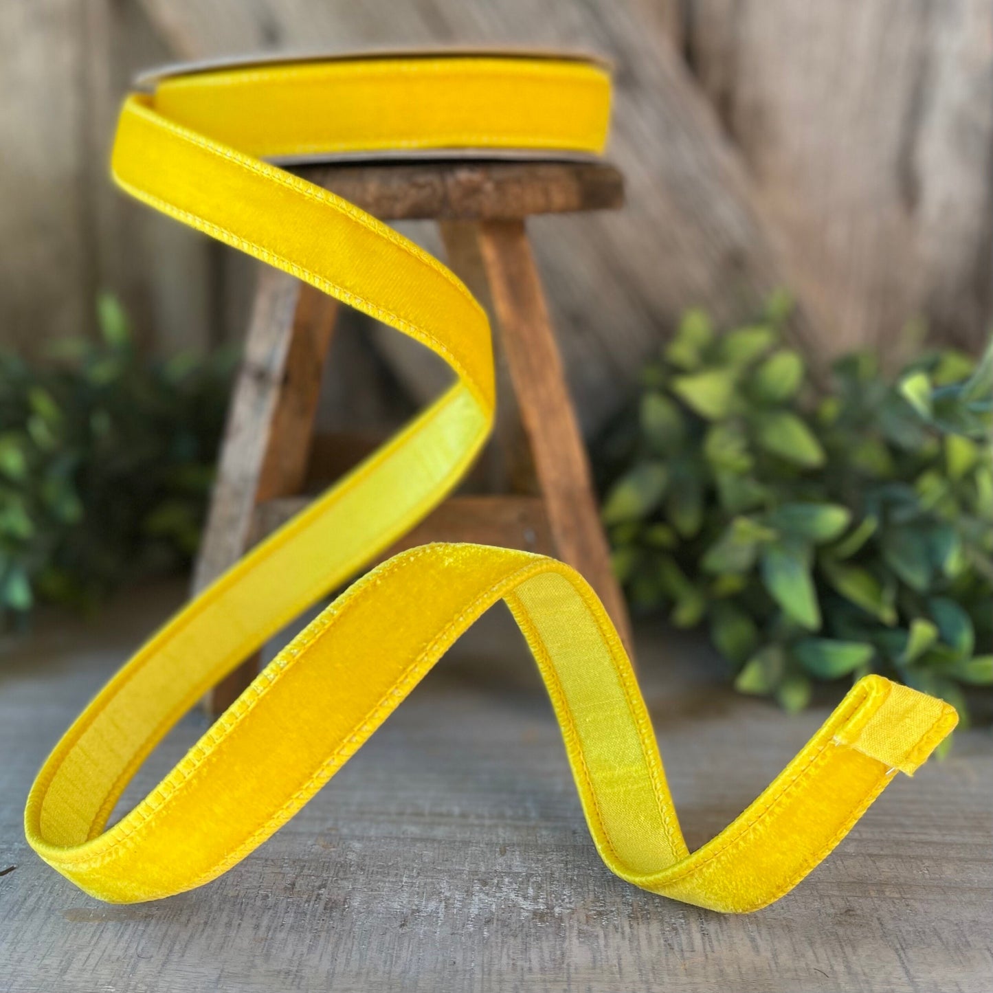1" yellow Velvet Luster Ribbon, Farrisilk Ribbon, Velvet Ribbon
