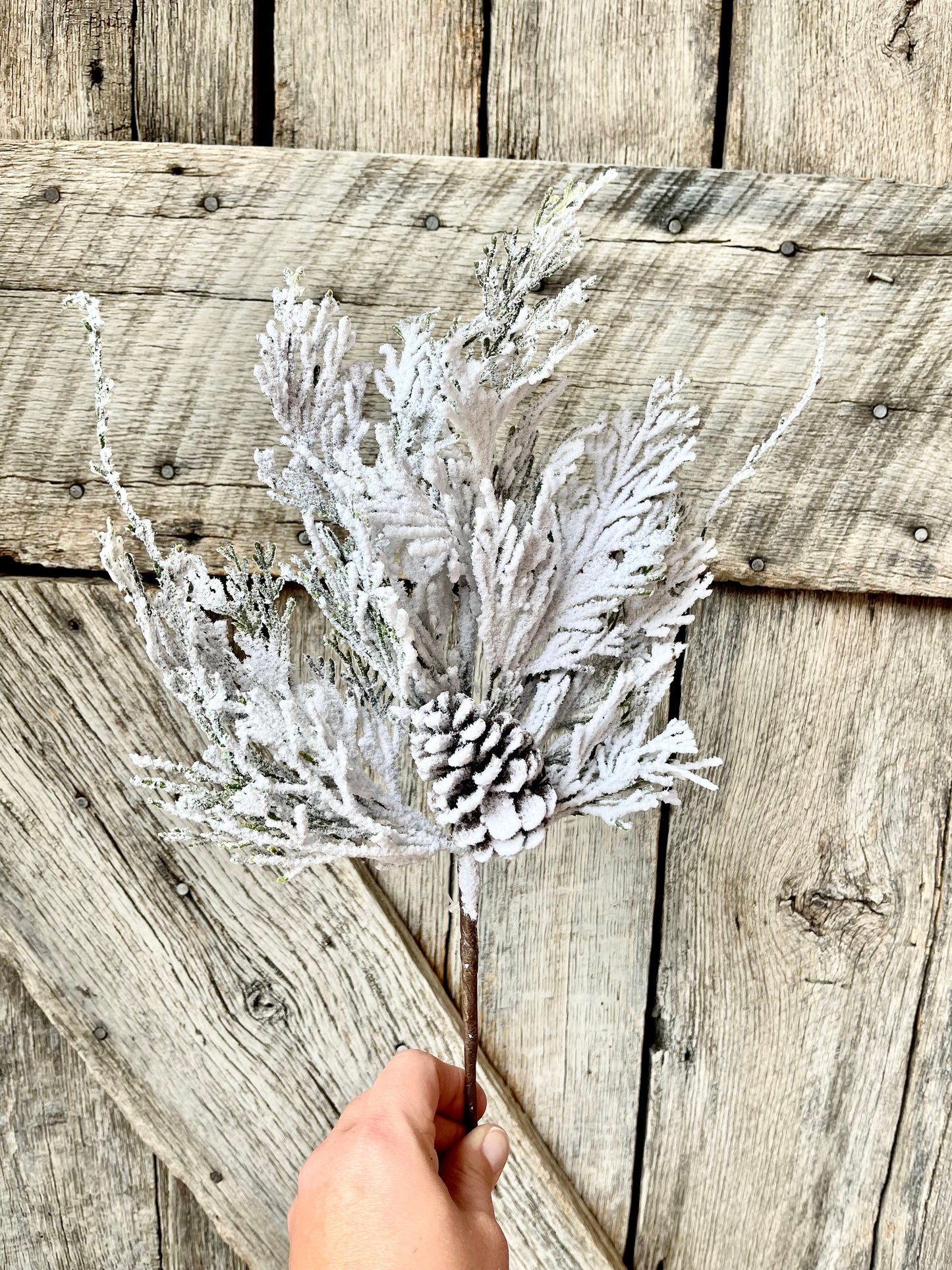 18" Snow Cedar Pinecone Spray, Flocked Pine Stem