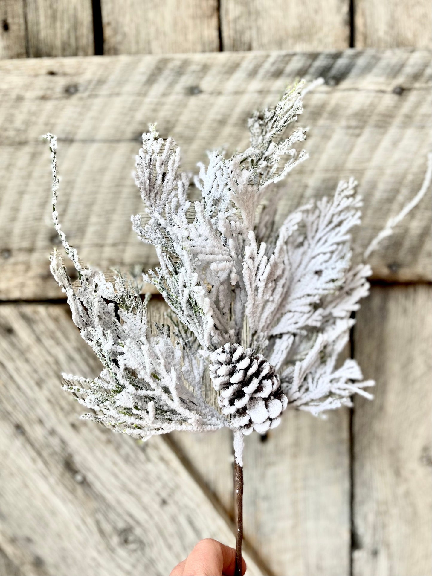 18" Snow Cedar Pinecone Spray, Flocked Pine Stem