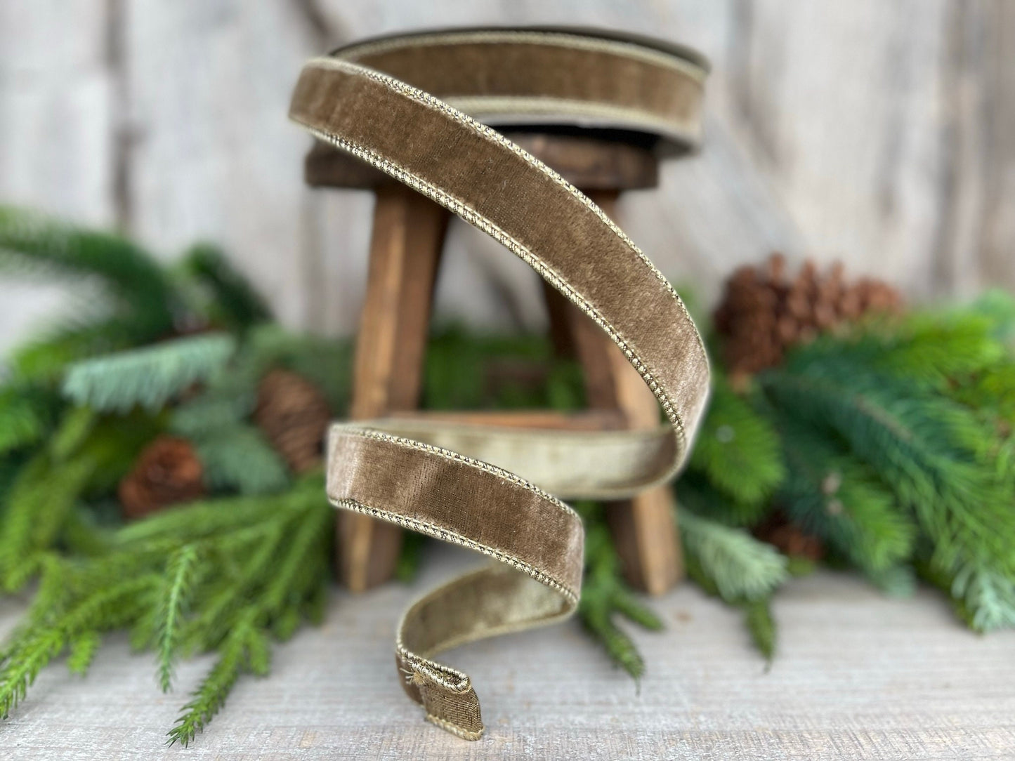1” Mink Velvet Ribbon, Farrisilk ribbon