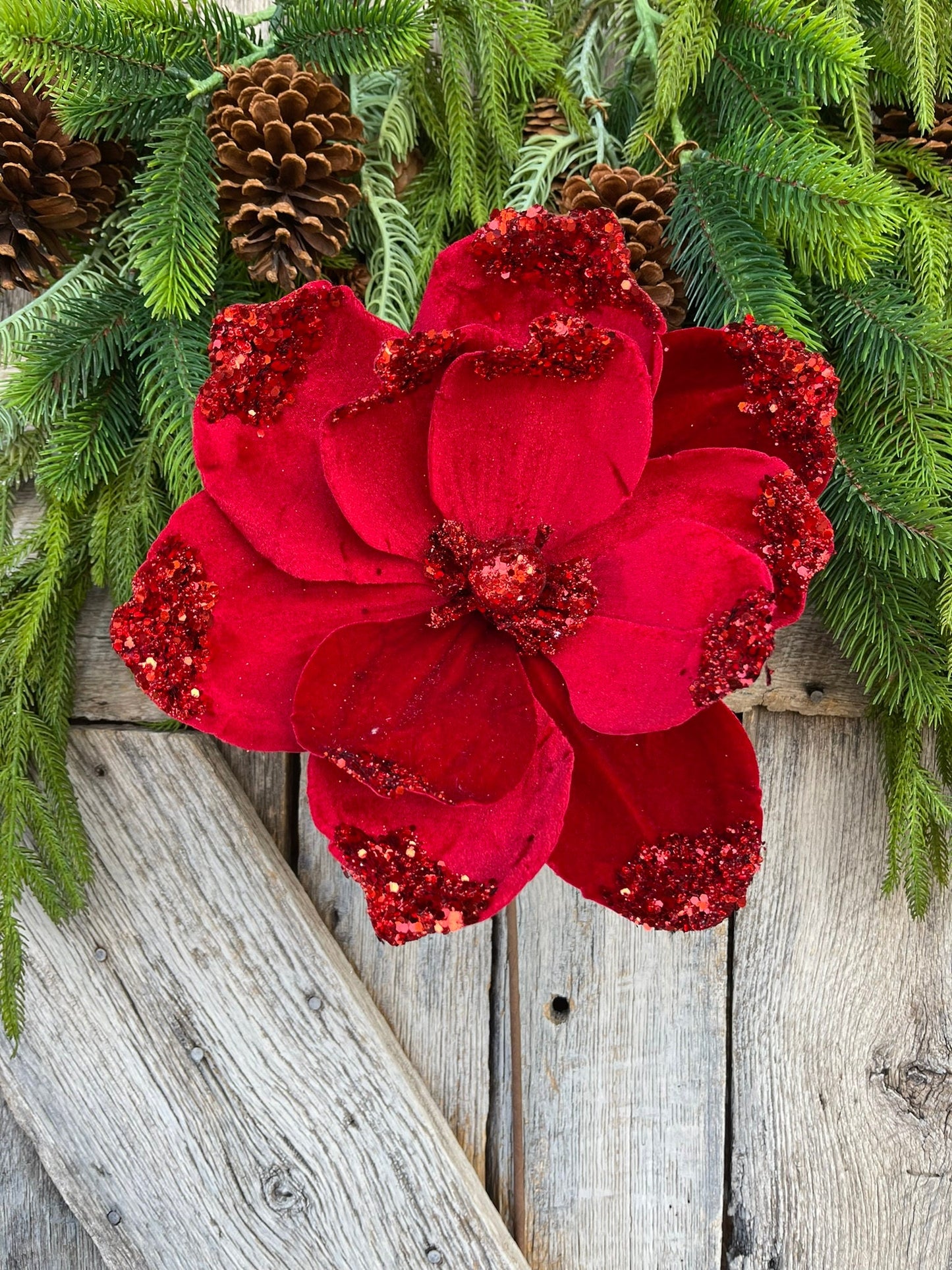 21" Red Velvet Magnolia, Christmas Magnolia