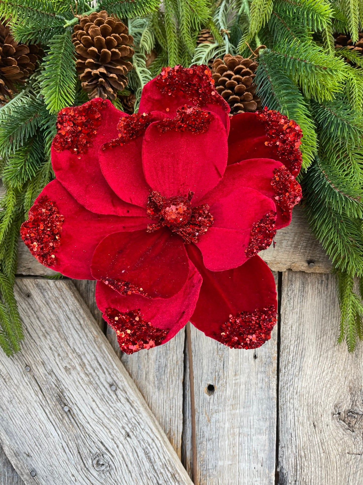 21" Red Velvet Magnolia, Christmas Magnolia