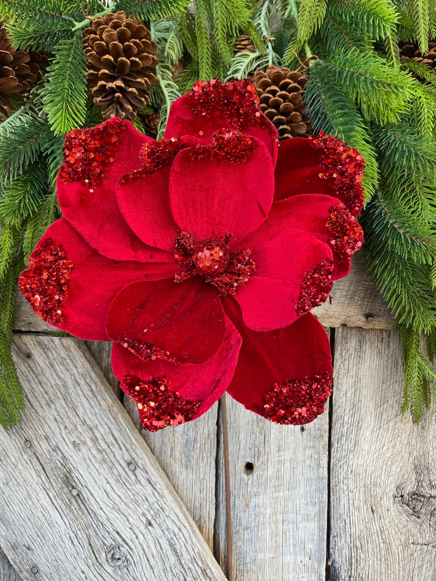 21" Red Velvet Magnolia, Christmas Magnolia