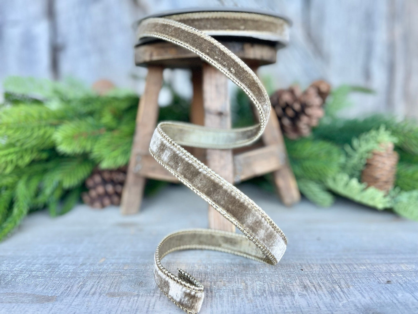 3/4” Mink Velvet Ribbon, Farrisilk ribbon
