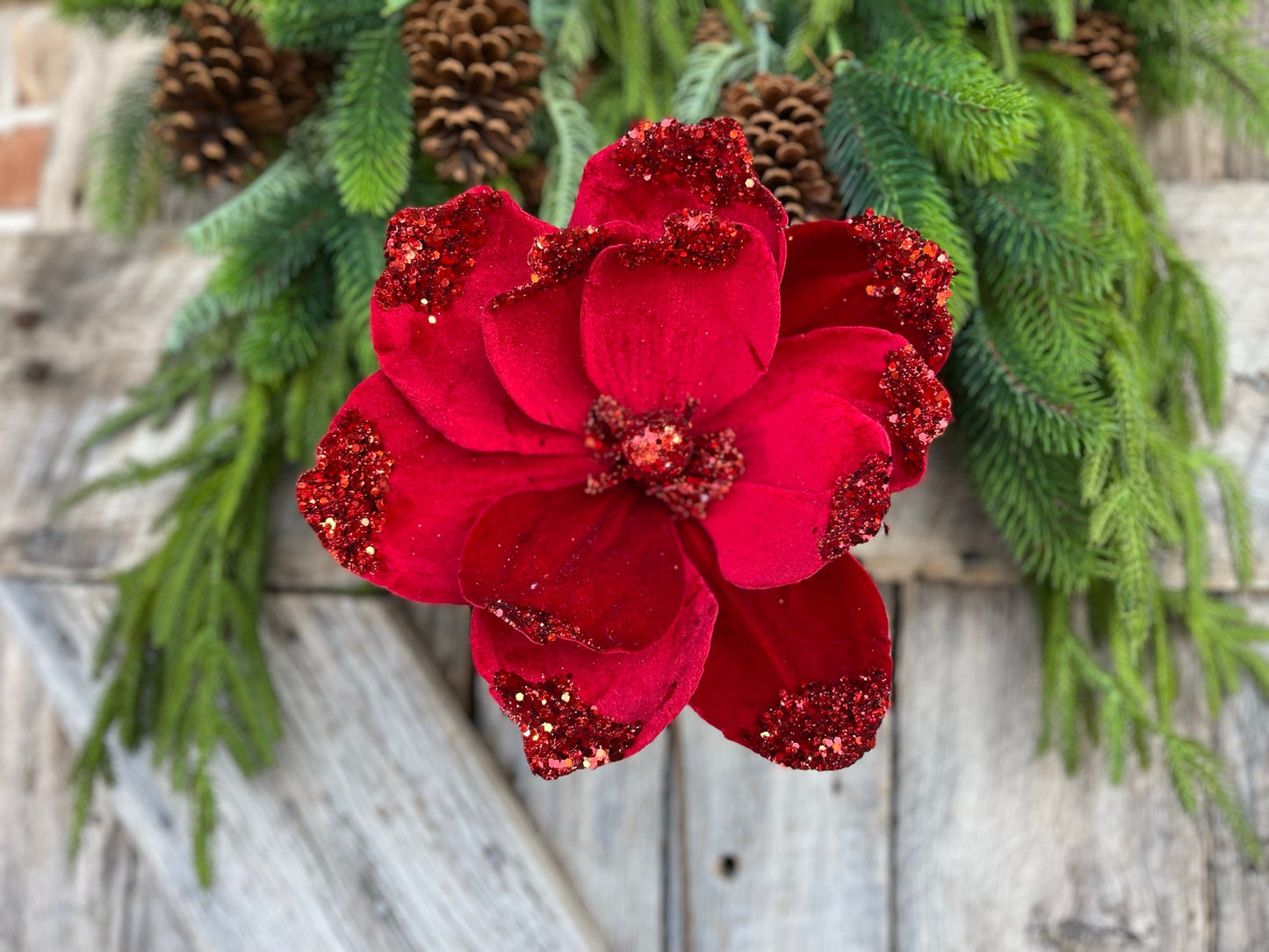21" Red Velvet Magnolia, Christmas Magnolia