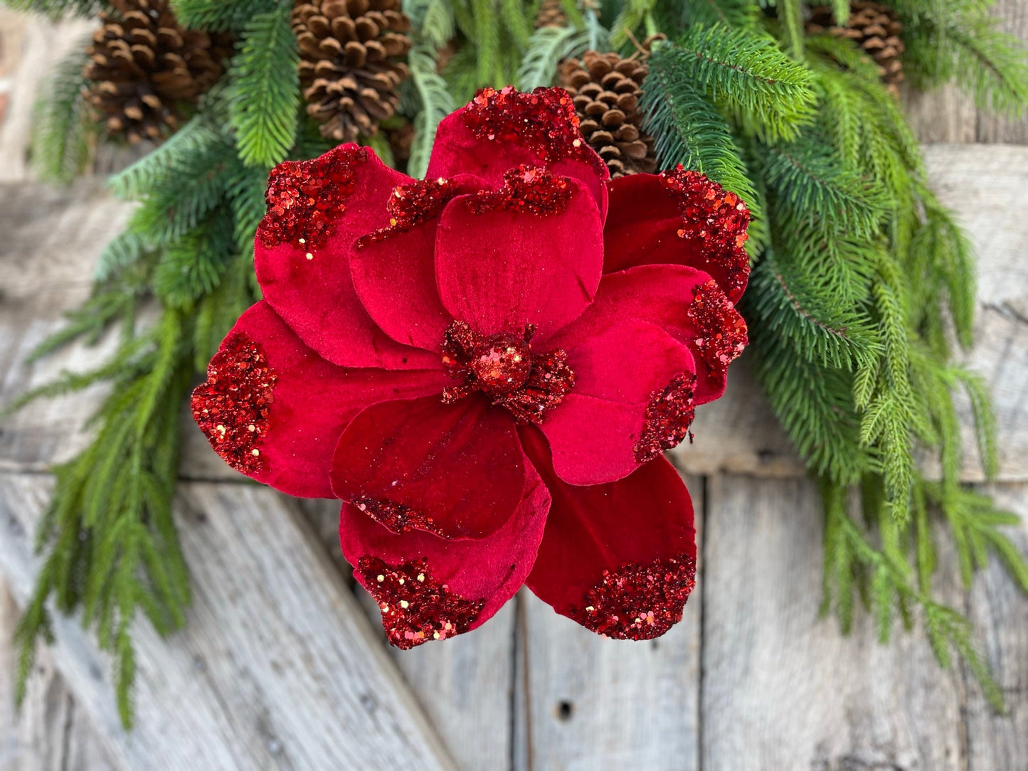 21" Red Velvet Magnolia, Christmas Magnolia