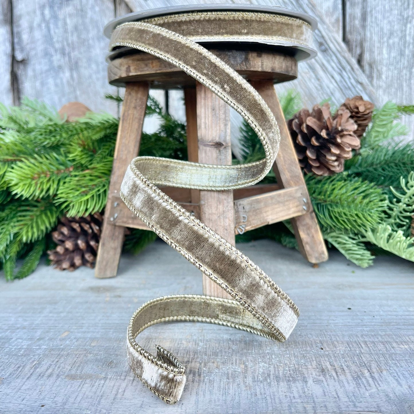 3/4” Mink Velvet Ribbon, Farrisilk ribbon