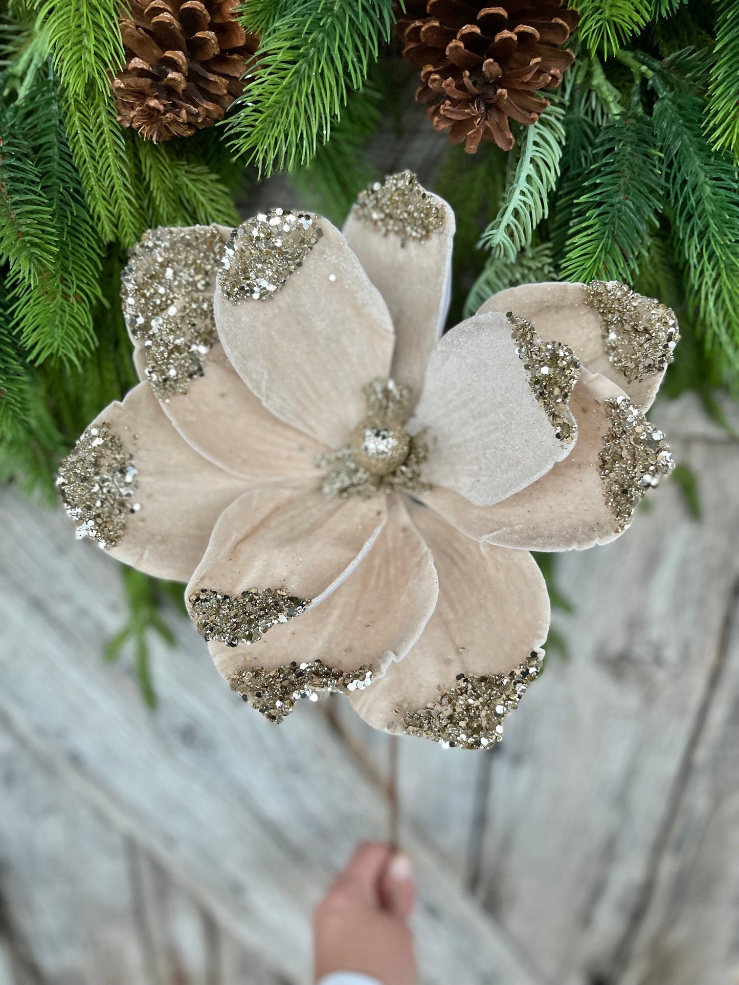 21" Champagne Velvet Magnolia, Christmas Magnolia