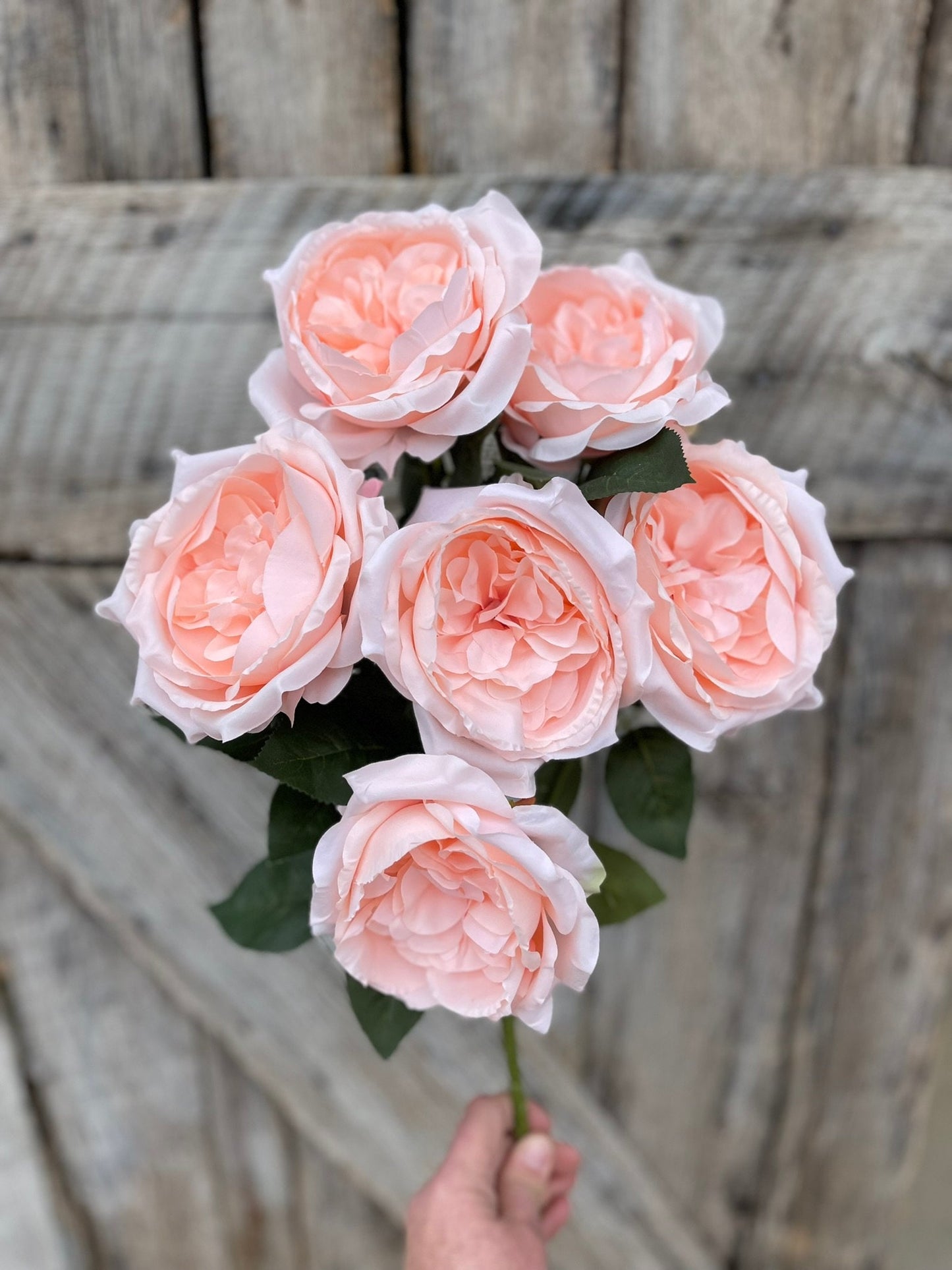 19" Blush English Garden Rose, Artificial Rose Bush