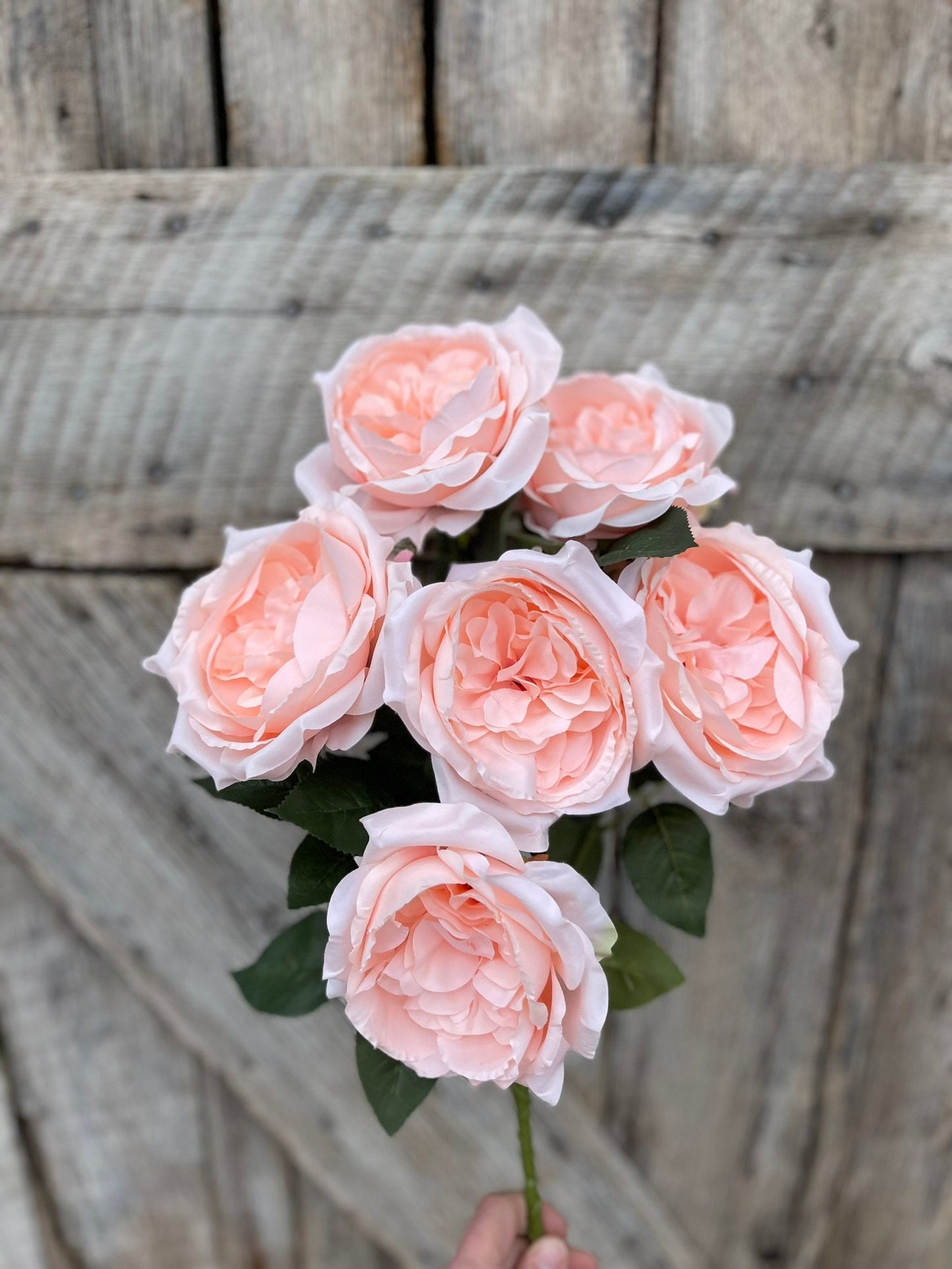 19" Blush English Garden Rose, Artificial Rose Bush