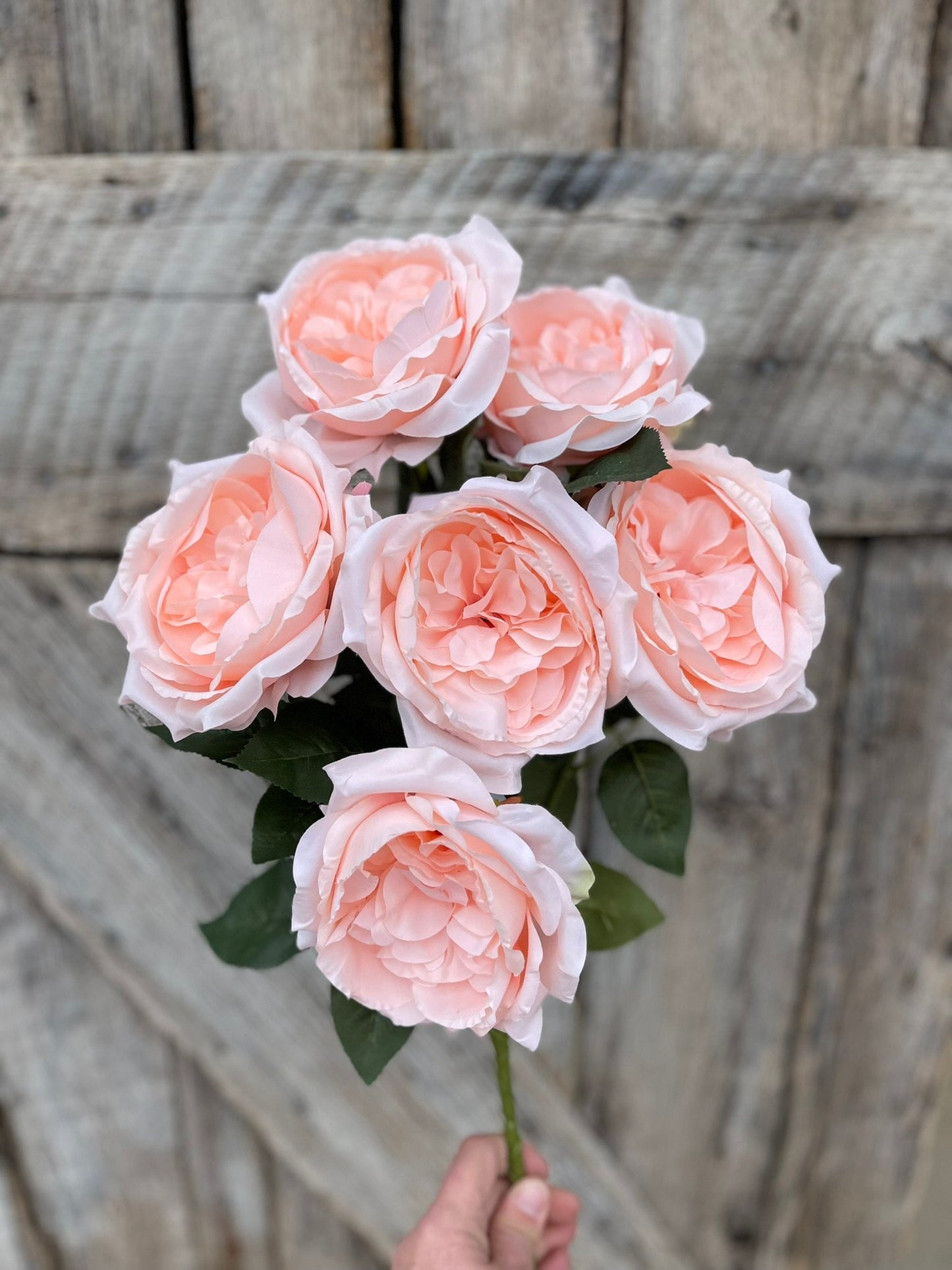 19" Blush English Garden Rose, Artificial Rose Bush