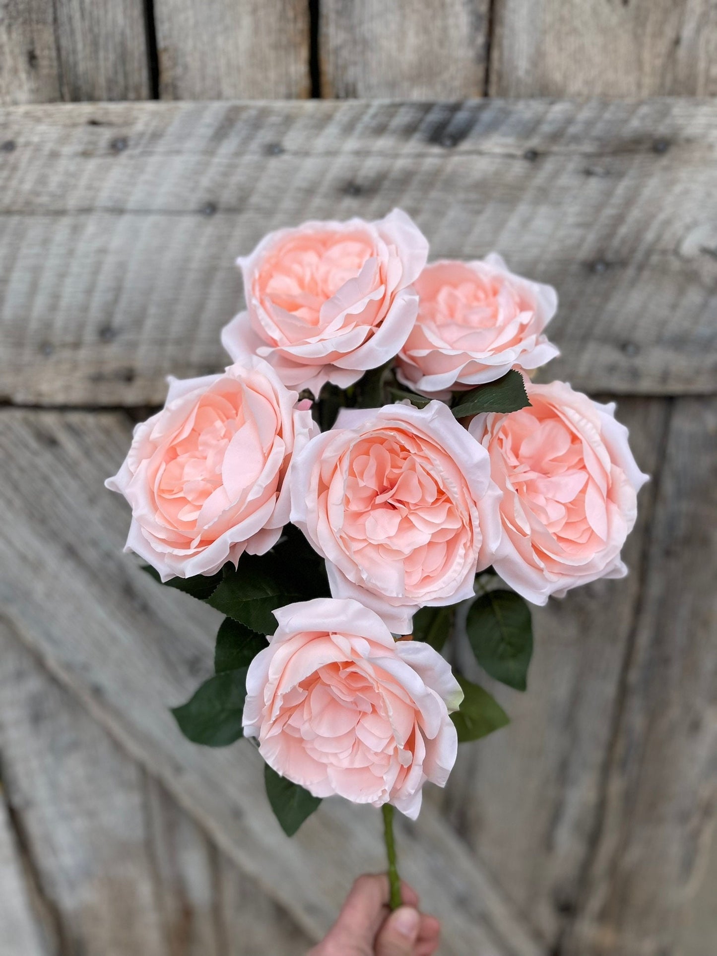 19" Blush English Garden Rose, Artificial Rose Bush