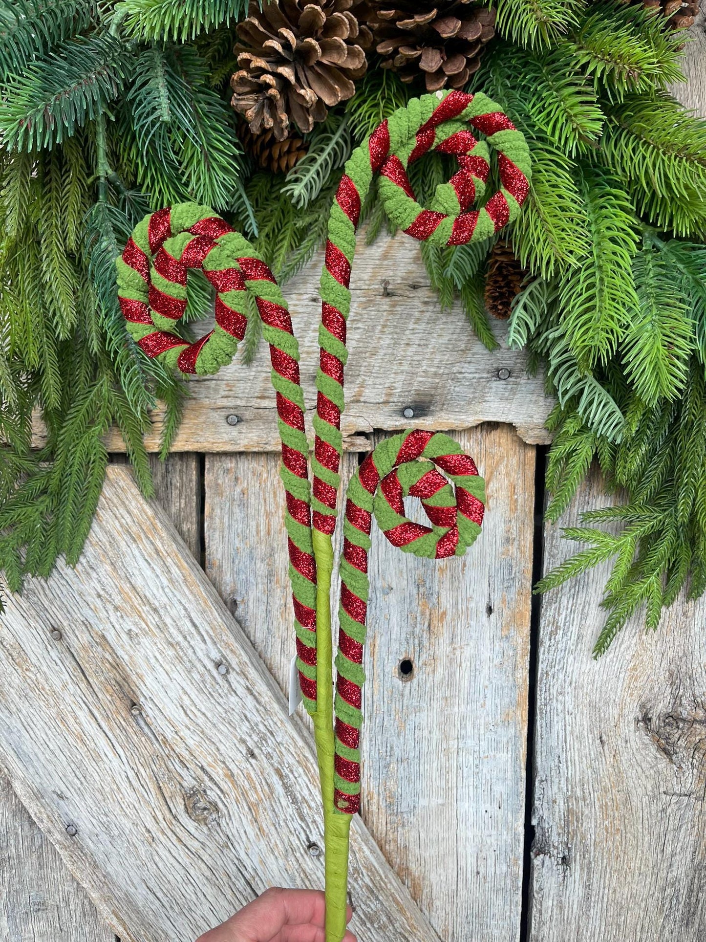 28" Red Green Curly Spray, Christmas Curly Spray, Red Green Swirl Spray