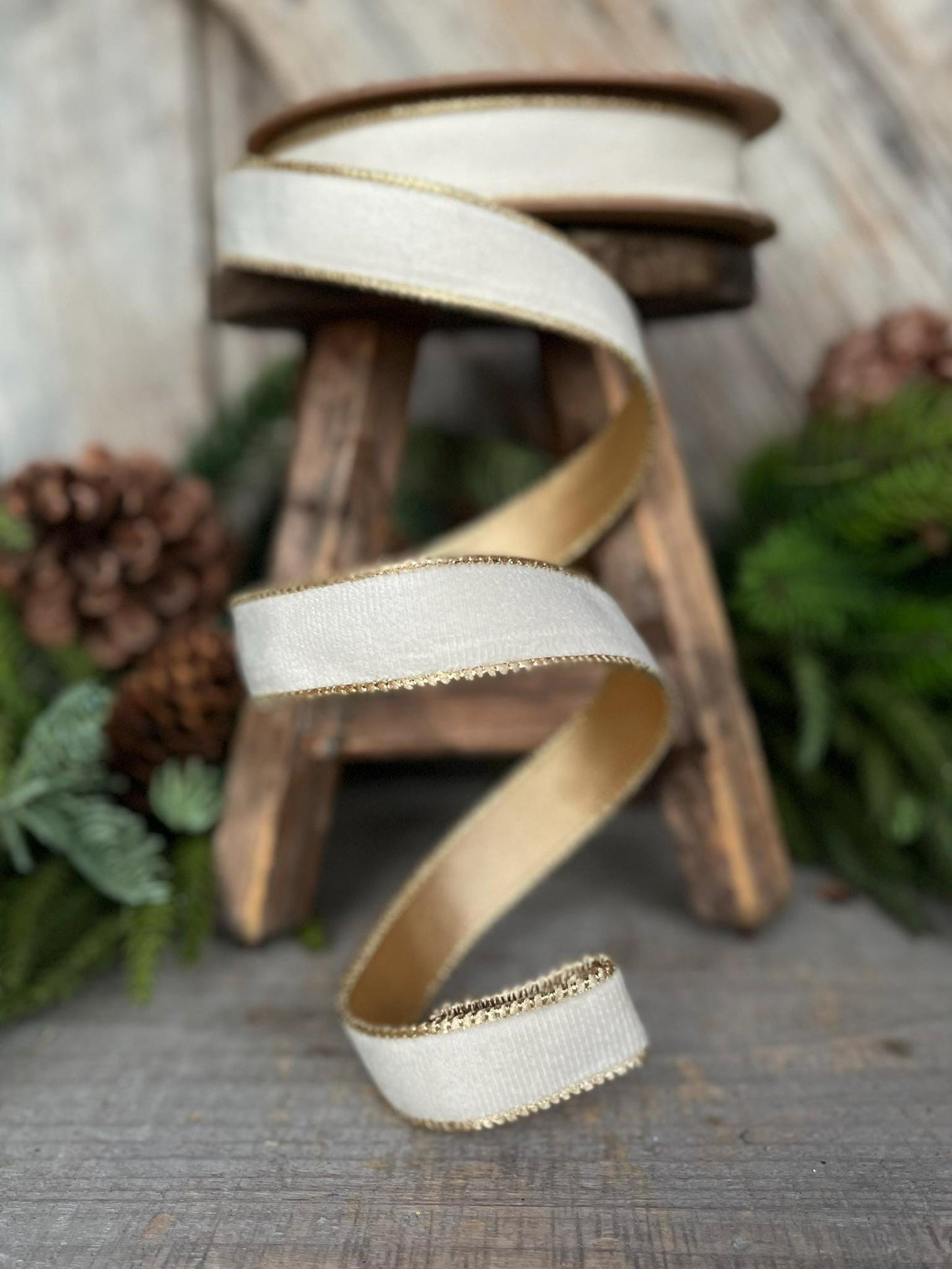 1" Ivory Velvet Ribbon, Ivory & Gold Velvet Ribbon