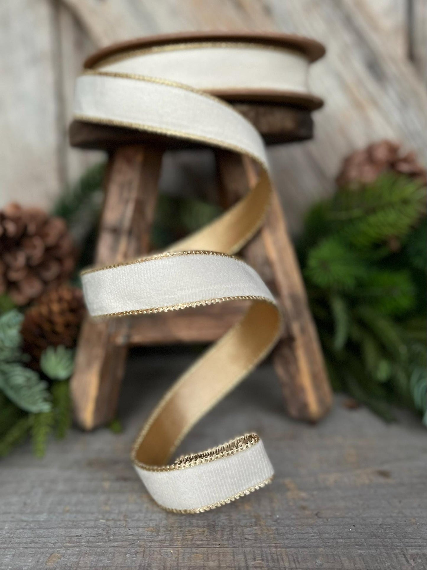 1" Ivory Velvet Ribbon, Ivory & Gold Velvet Ribbon