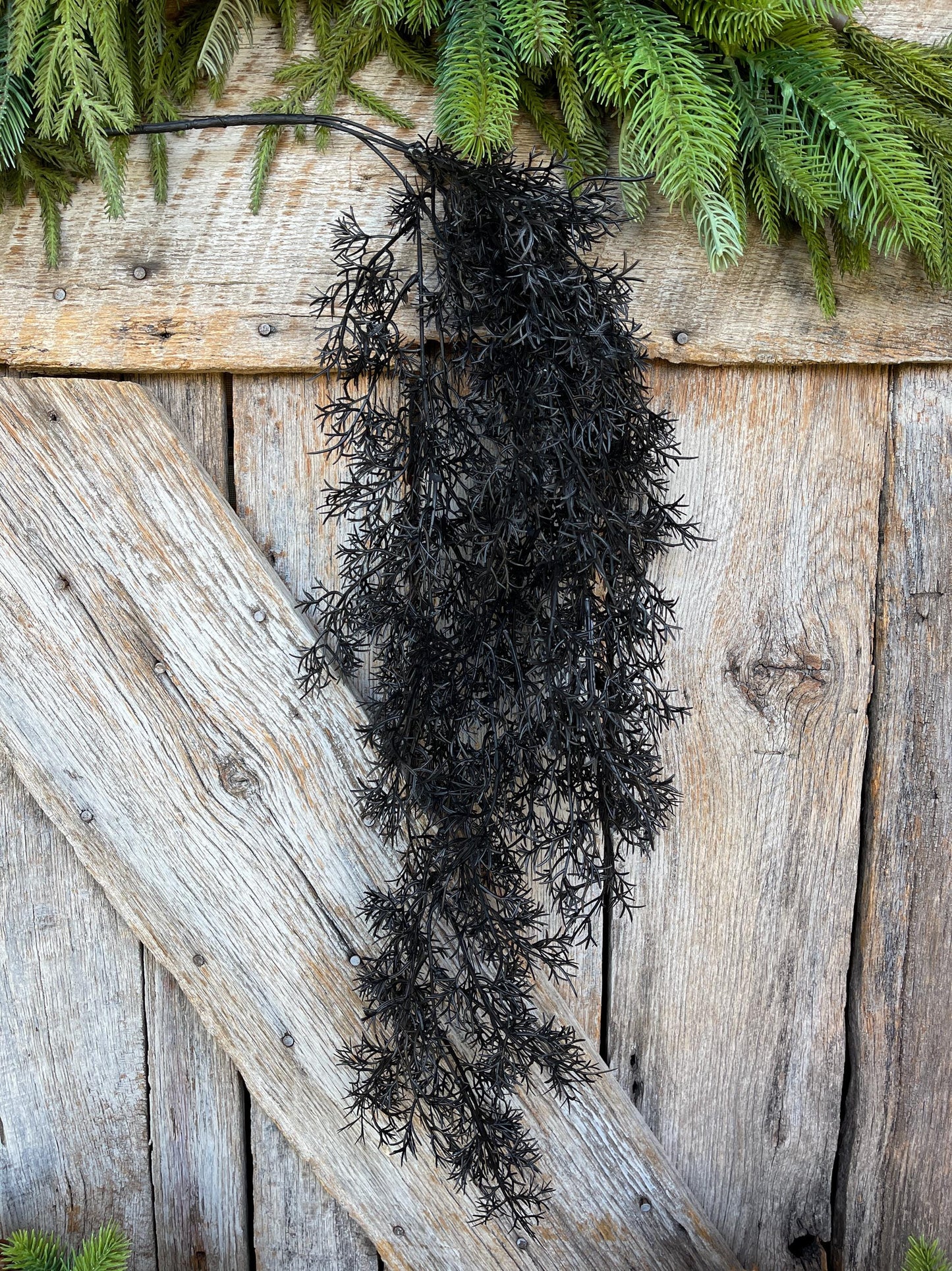 32" Black Hanging Cedar Bush, Halloween Greenery Bush, Hanging Halloween Bush, Black Greenery, Black Hanging Greenery, 57101BK