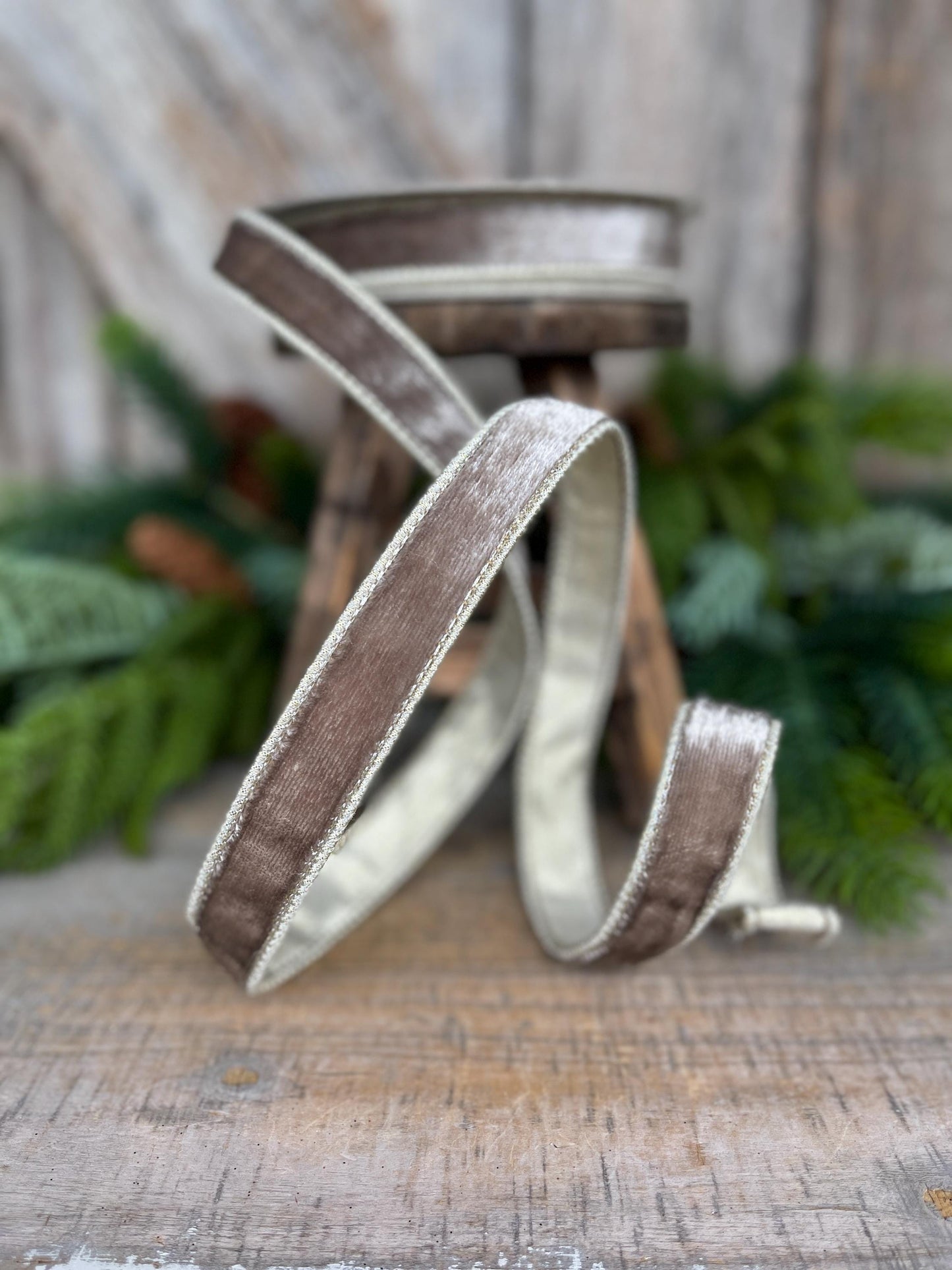 1" Platinum Velvet Sheen Ribbon, Farrisilk Ribbon, Wired Ribbon, Platinum Velvet Ribbon, Champagne Gold Velvet, Christmas Ribbon, RK466-51