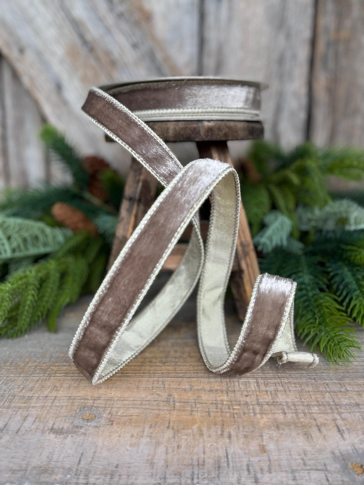 1" Platinum Velvet Sheen Ribbon, Farrisilk Ribbon, Wired Ribbon, Platinum Velvet Ribbon, Champagne Gold Velvet, Christmas Ribbon, RK466-51