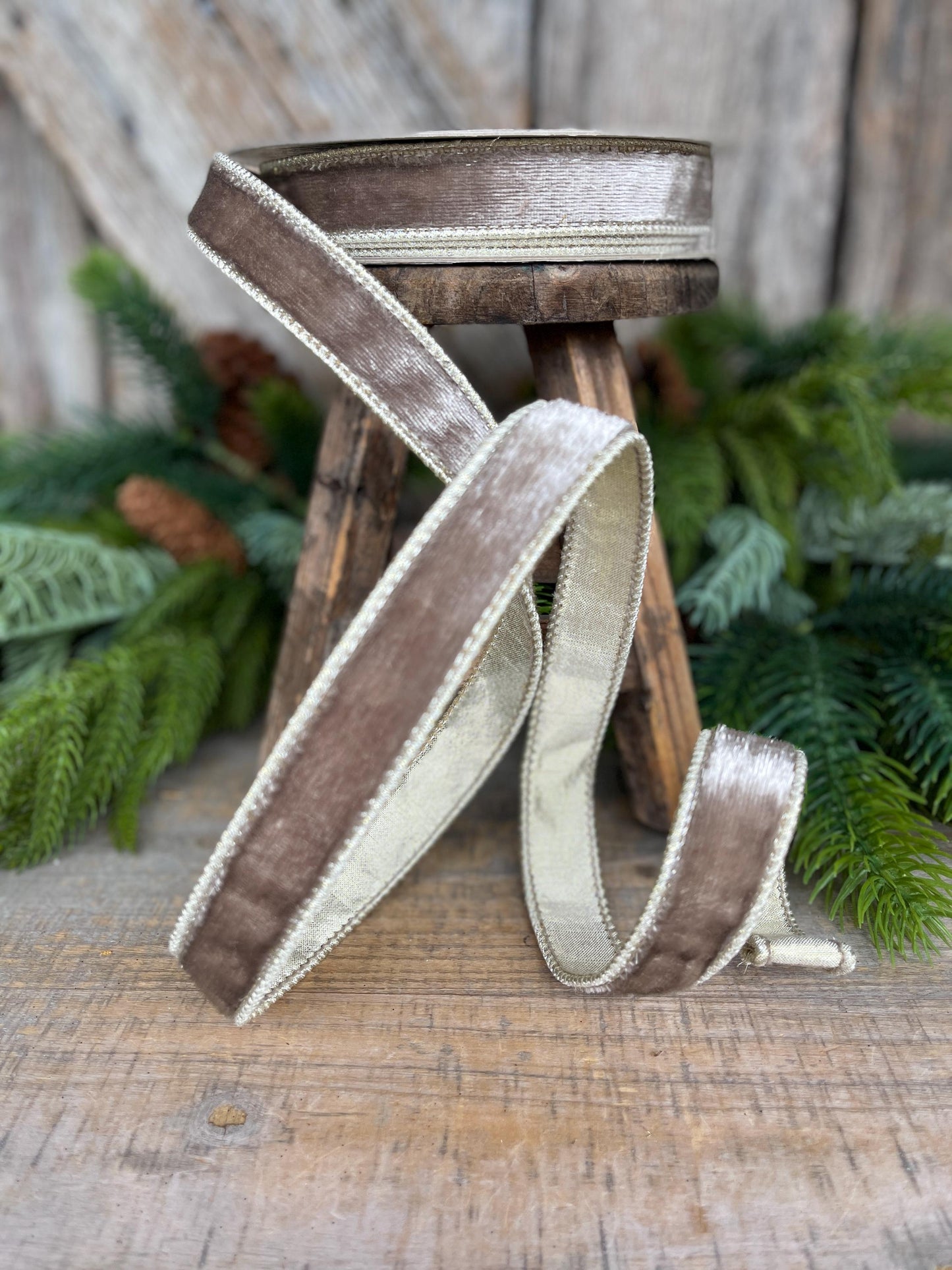 1" Platinum Velvet Sheen Ribbon, Farrisilk Ribbon, Wired Ribbon, Platinum Velvet Ribbon, Champagne Gold Velvet, Christmas Ribbon, RK466-51