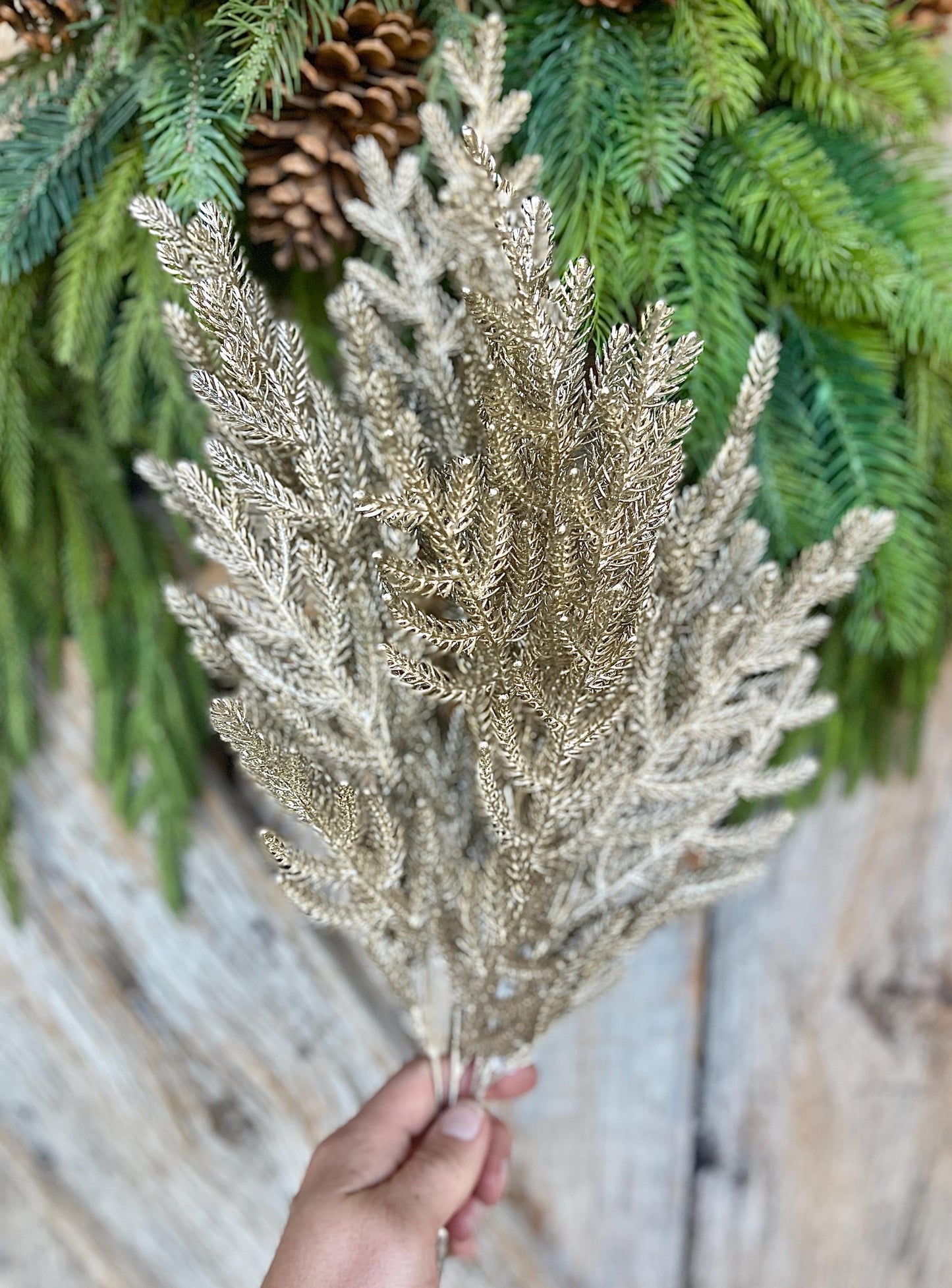 21" Champagne Gold Norfolk Pine Spray, Gold Christmas SPray, Christmas Tree Topper Spray