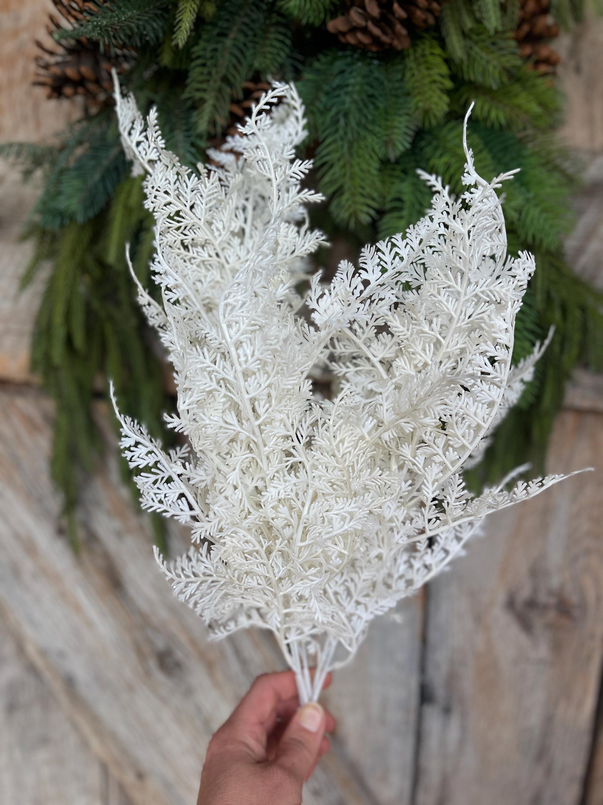 22" White Christmas Bush, White Christmas Fern, White Filler Bush