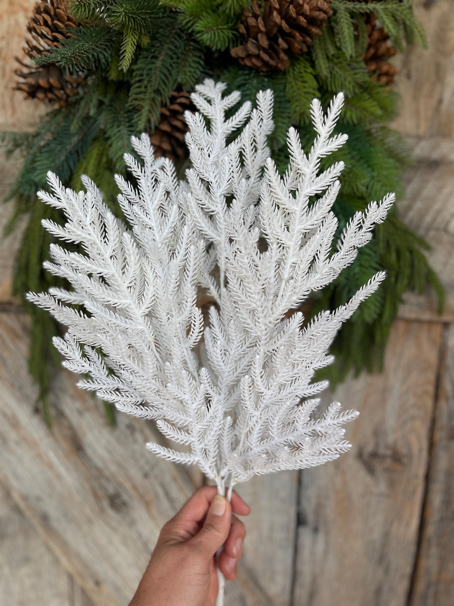 21" White Norfolk Pine Spray, White Christmas SPray, Christmas Tree Topper Spray, White Greenery, Pine Spray, 85266-WT