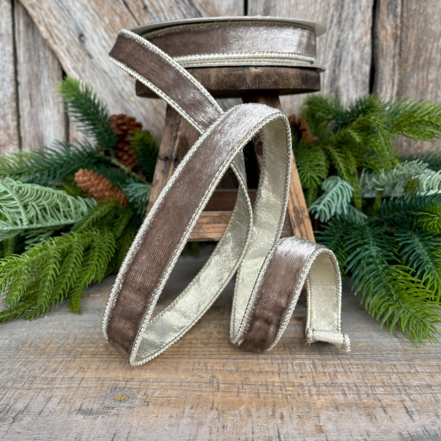 1" Platinum Velvet Sheen Ribbon, Farrisilk Ribbon, Wired Ribbon, Platinum Velvet Ribbon, Champagne Gold Velvet, Christmas Ribbon, RK466-51
