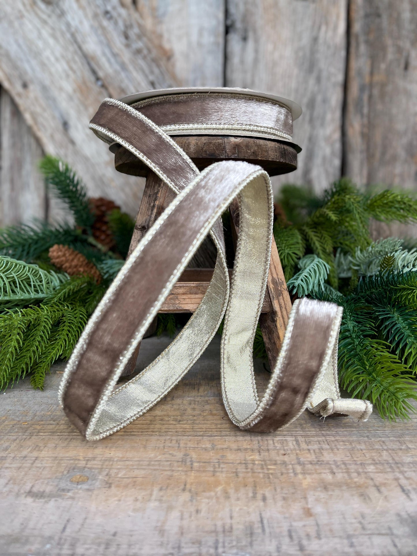 1" Platinum Velvet Sheen Ribbon, Farrisilk Ribbon, Wired Ribbon, Platinum Velvet Ribbon, Champagne Gold Velvet, Christmas Ribbon, RK466-51