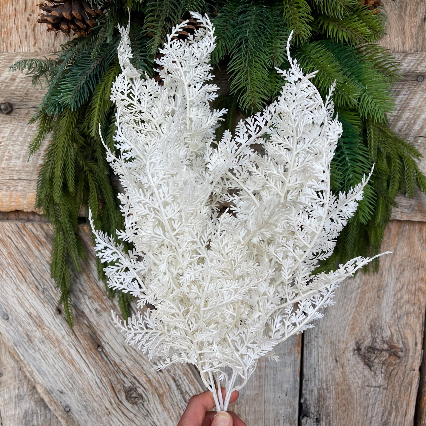 22" White Christmas Bush, White Christmas Fern, White Filler Bush