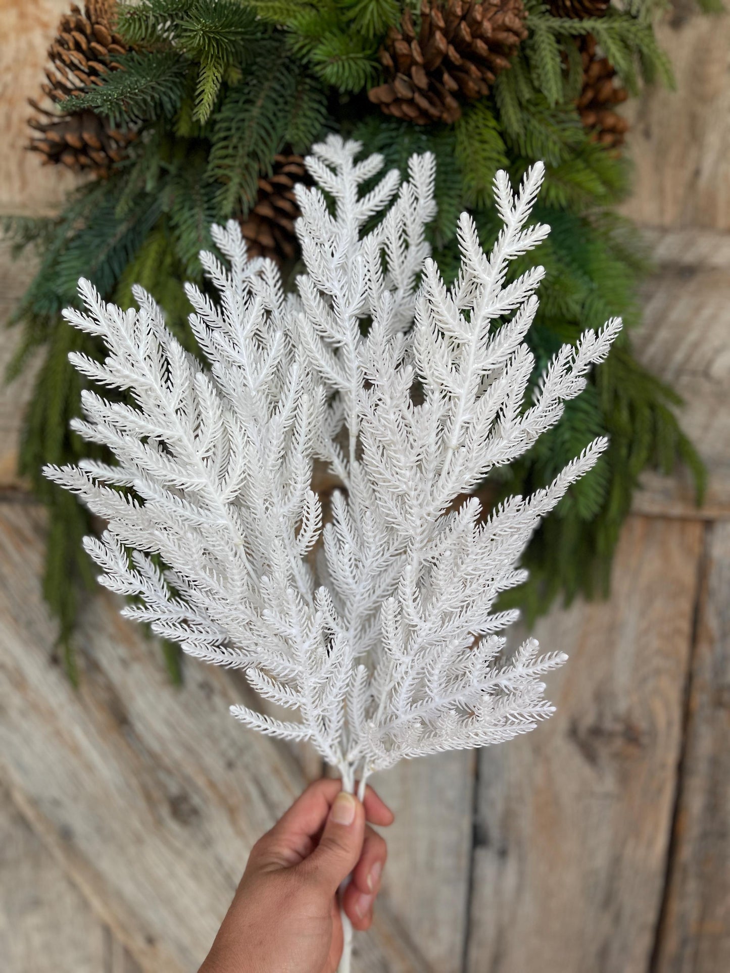 21" White Norfolk Pine Spray, White Christmas SPray, Christmas Tree Topper Spray, White Greenery, Pine Spray, 85266-WT