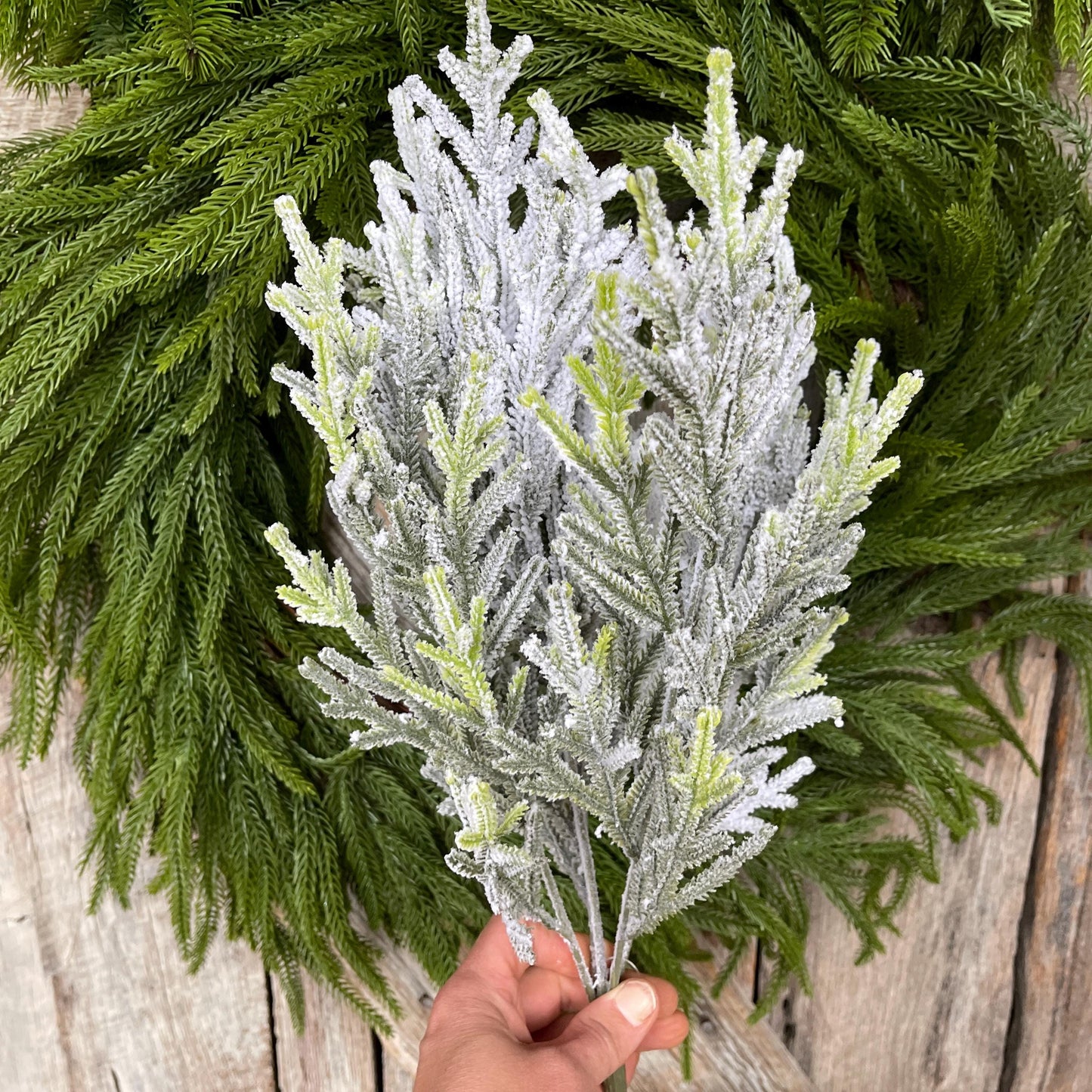 20" Flocked Pine Bush, Flocked Pine Bush, Flocked Greenery