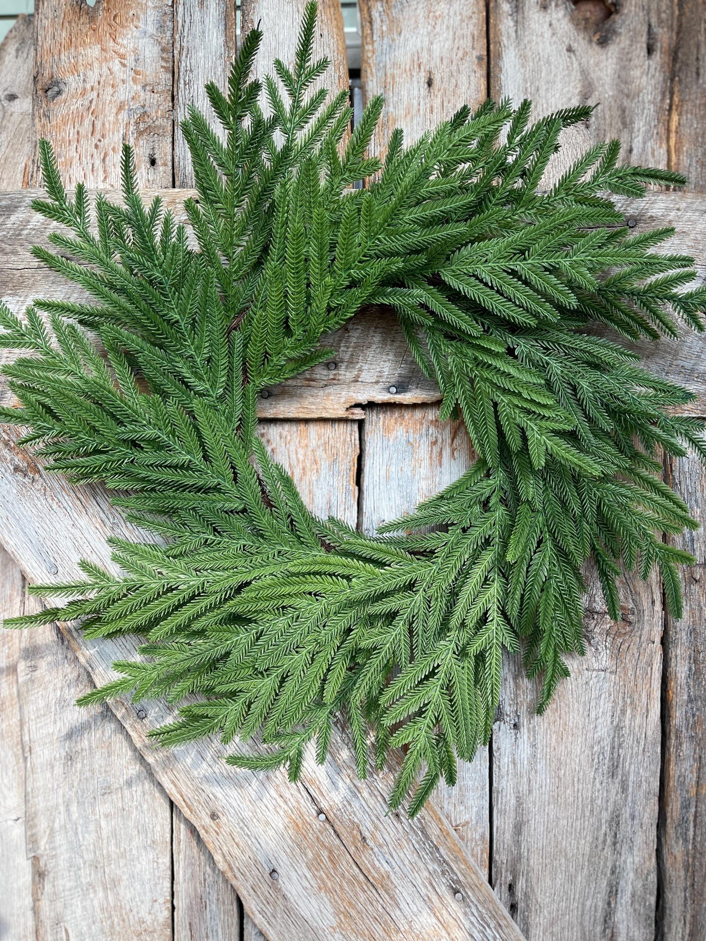 24" Norfolk Pine Wreath, Real Touch Norfolk Pine Wreath, Artificial Pine Wreath