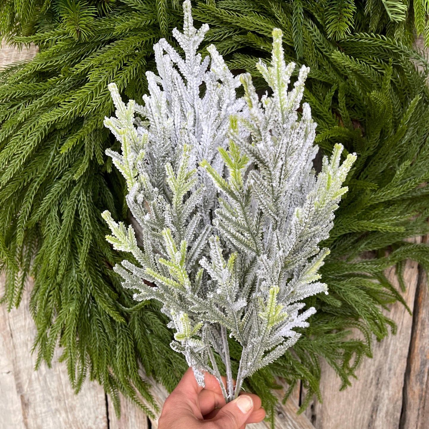 20" Flocked Pine Bush, Flocked Pine Bush, Flocked Greenery