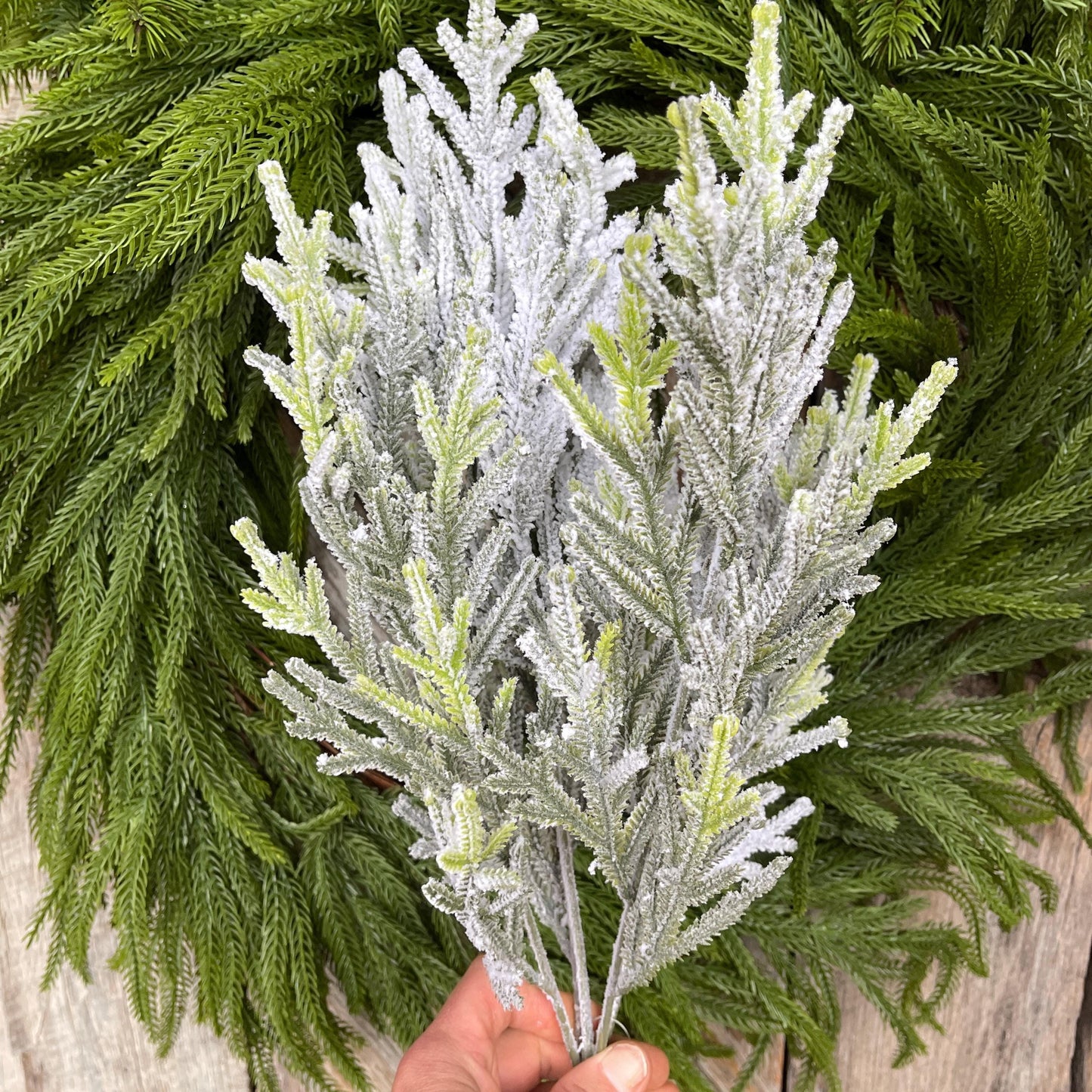 20" Flocked Pine Bush, Flocked Pine Bush, Flocked Greenery