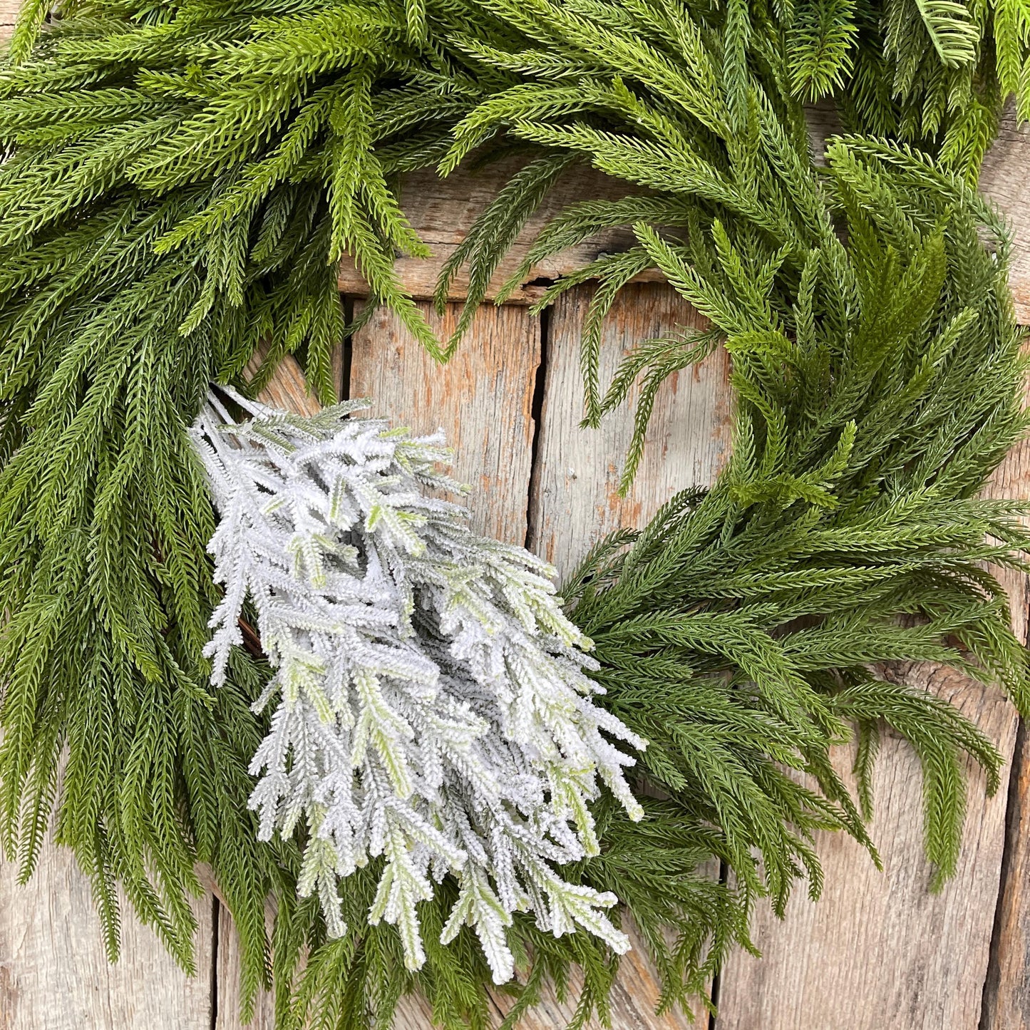 20" Flocked Pine Bush, Flocked Pine Bush, Flocked Greenery