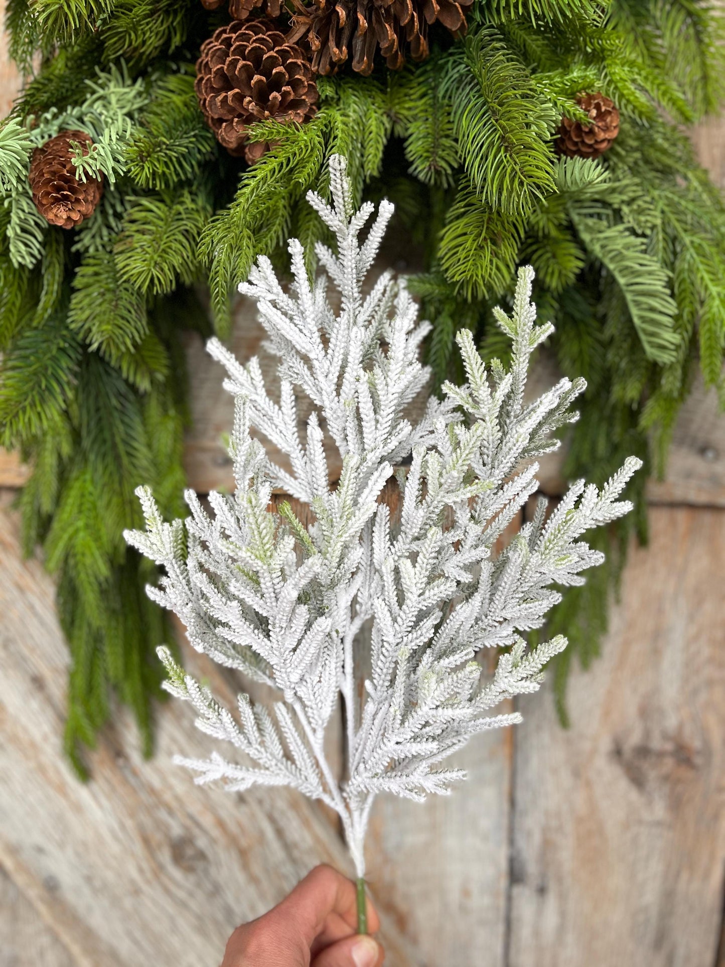 24" Flocked Norfolk Pine Spray, Flocked Pine Spray, Flocked Greenery