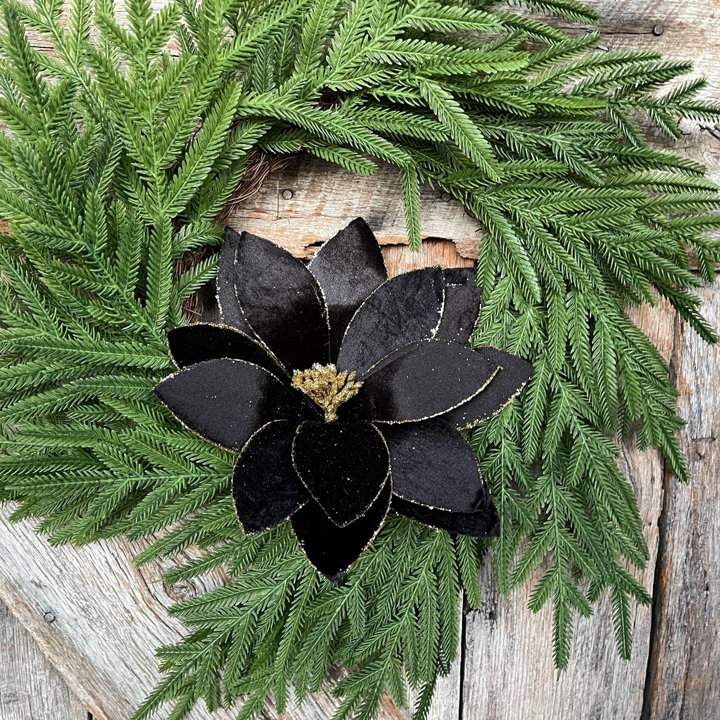 22" Black Velvet Poinsettia Stem, Christmas Floral Stem, Black Florals