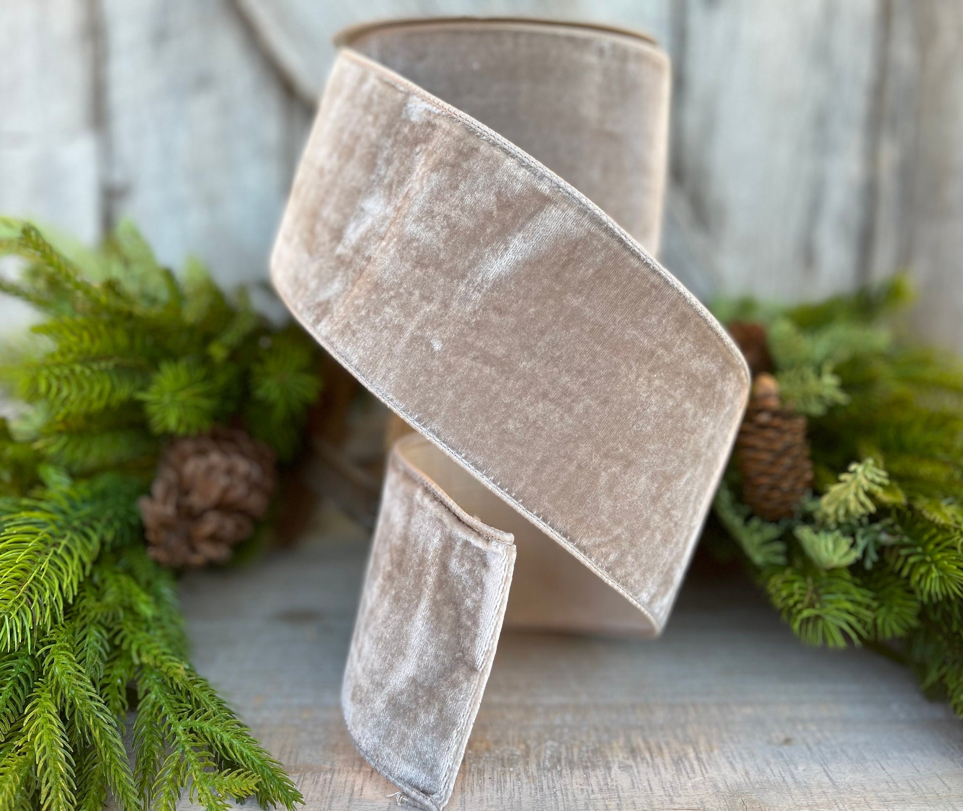 4" Platinum velvet ribbon, Christmas tree ribbon