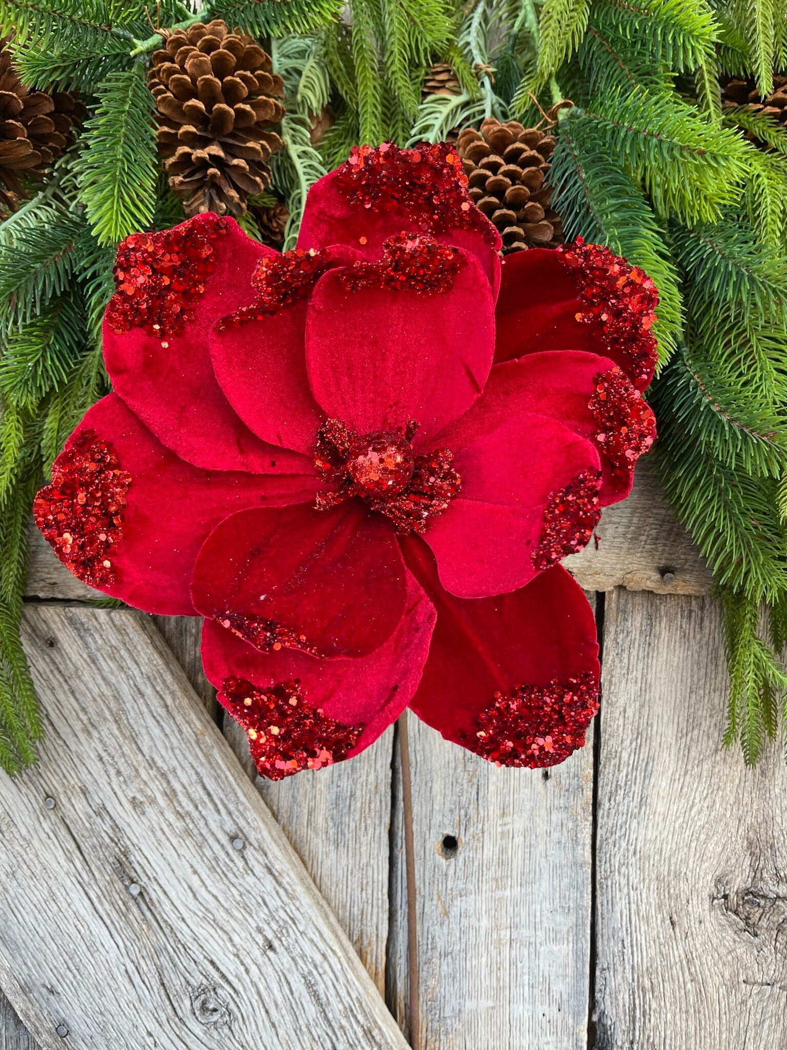 21" Red Velvet Magnolia, Christmas Magnolia