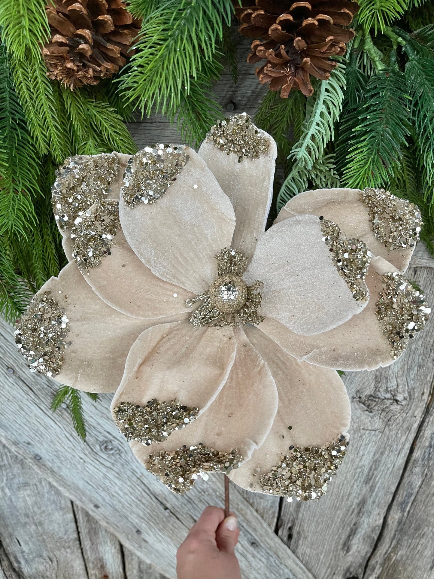 21" Champagne Velvet Magnolia, Christmas Magnolia
