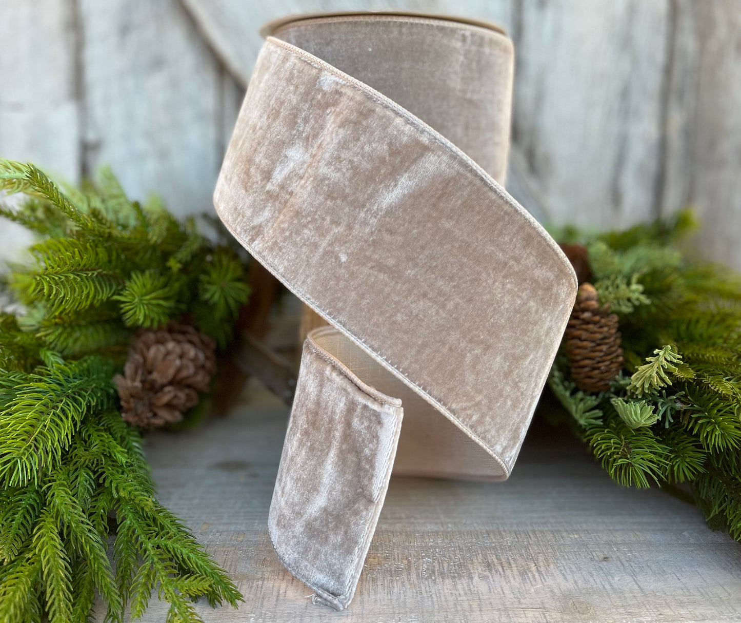 4" Platinum velvet ribbon, Christmas tree ribbon