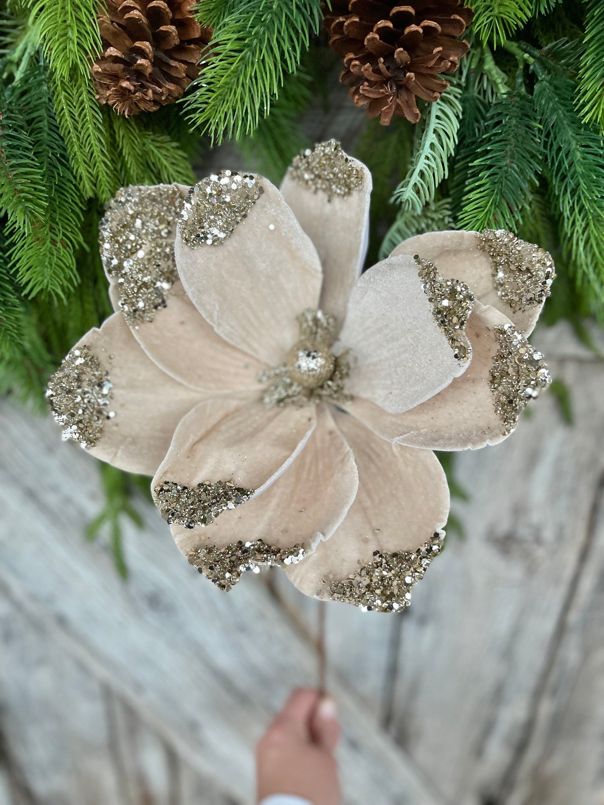 21" Champagne Velvet Magnolia, Christmas Magnolia