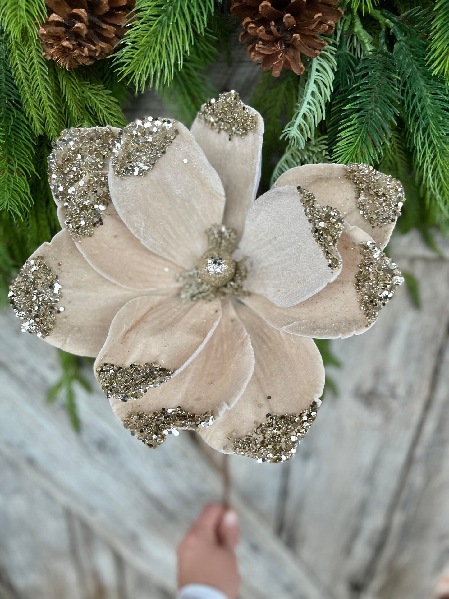 21" Champagne Velvet Magnolia, Christmas Magnolia
