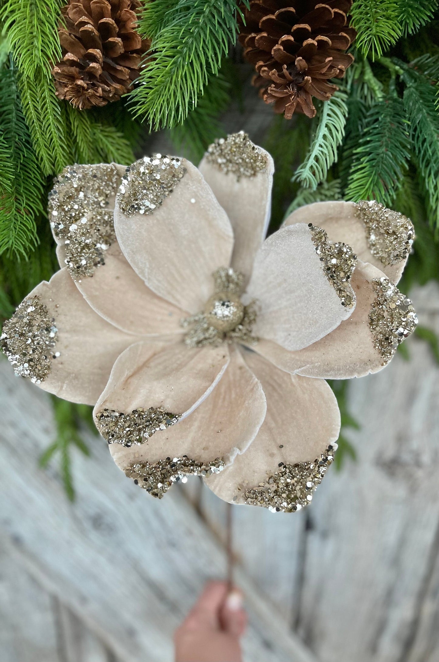 21" Champagne Velvet Magnolia, Christmas Magnolia