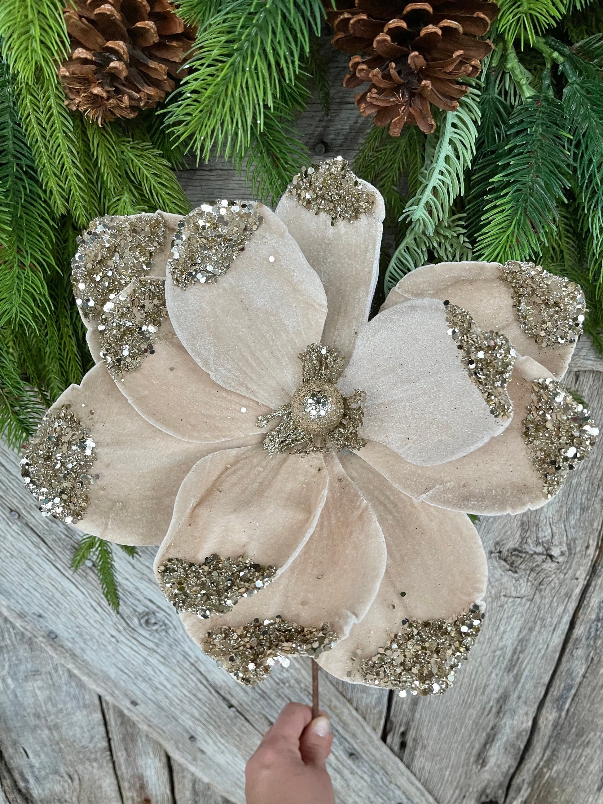 21" Champagne Velvet Magnolia, Christmas Magnolia