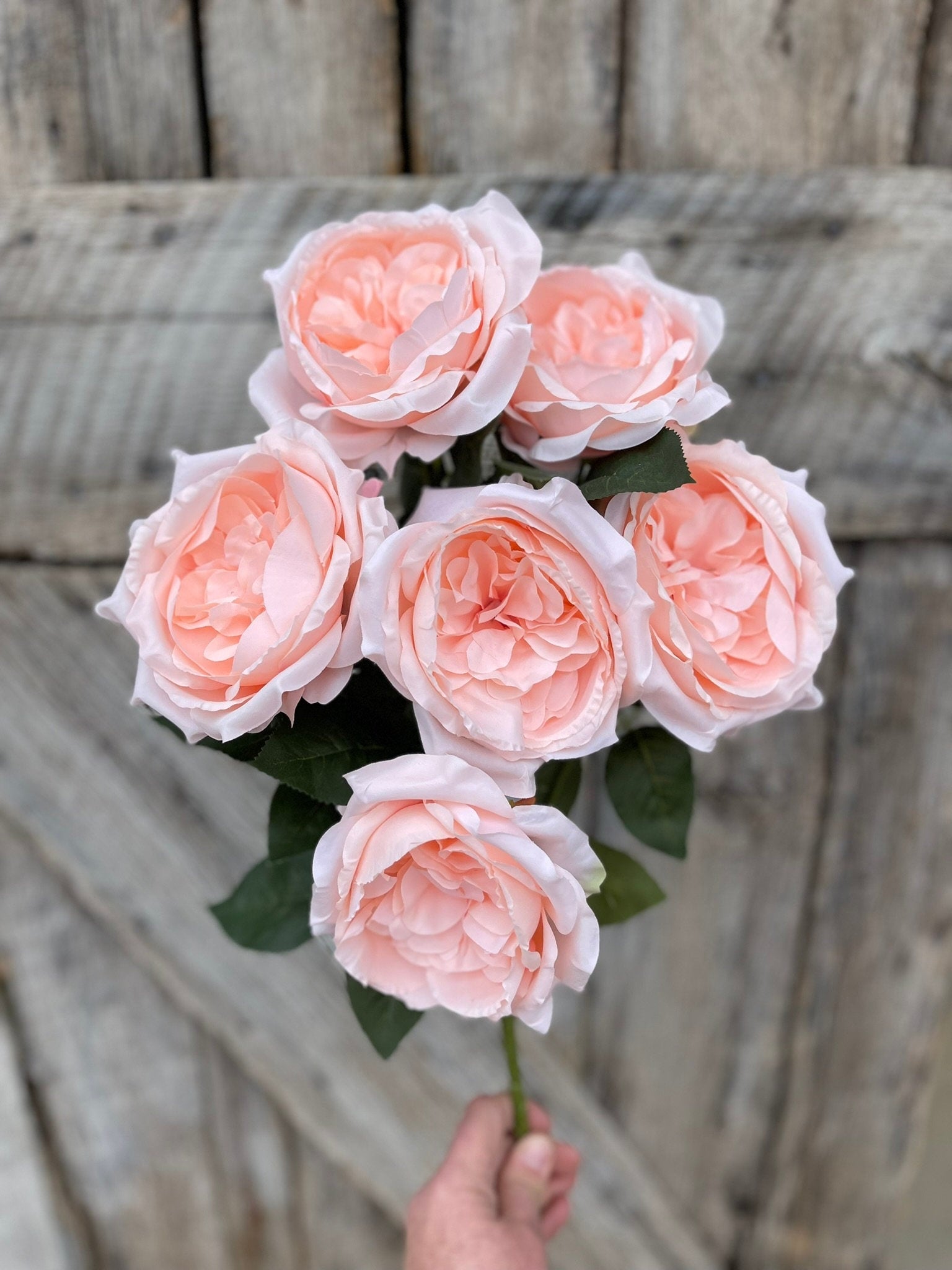 19" Blush English Garden Rose, Artificial Rose Bush