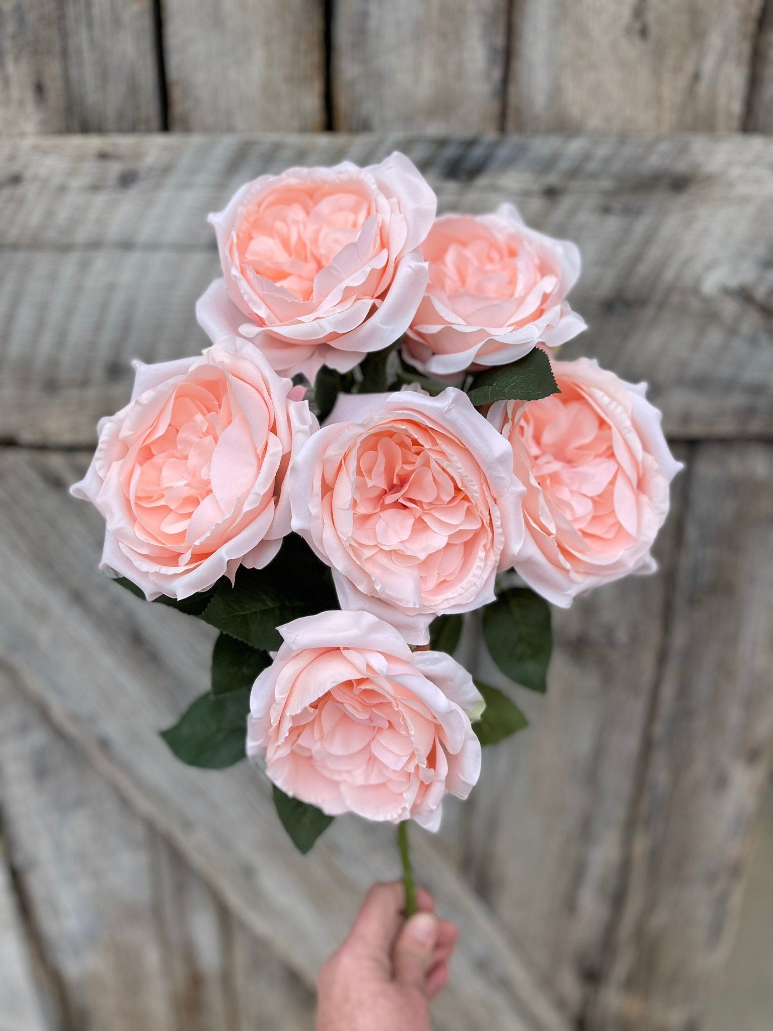 19" Blush English Garden Rose, Artificial Rose Bush