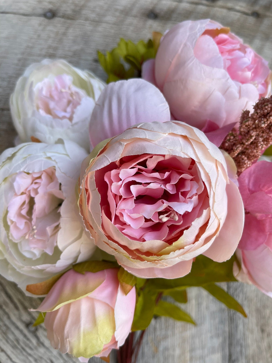 Pink Peony, Spring Peonies