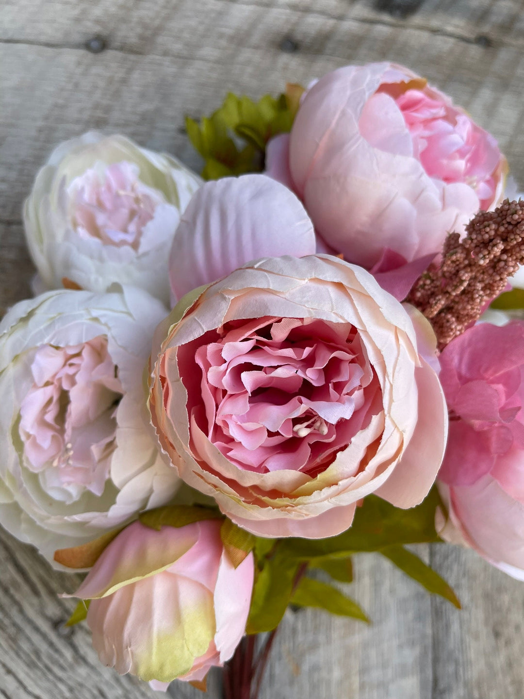 Pink Peony, Spring Peonies