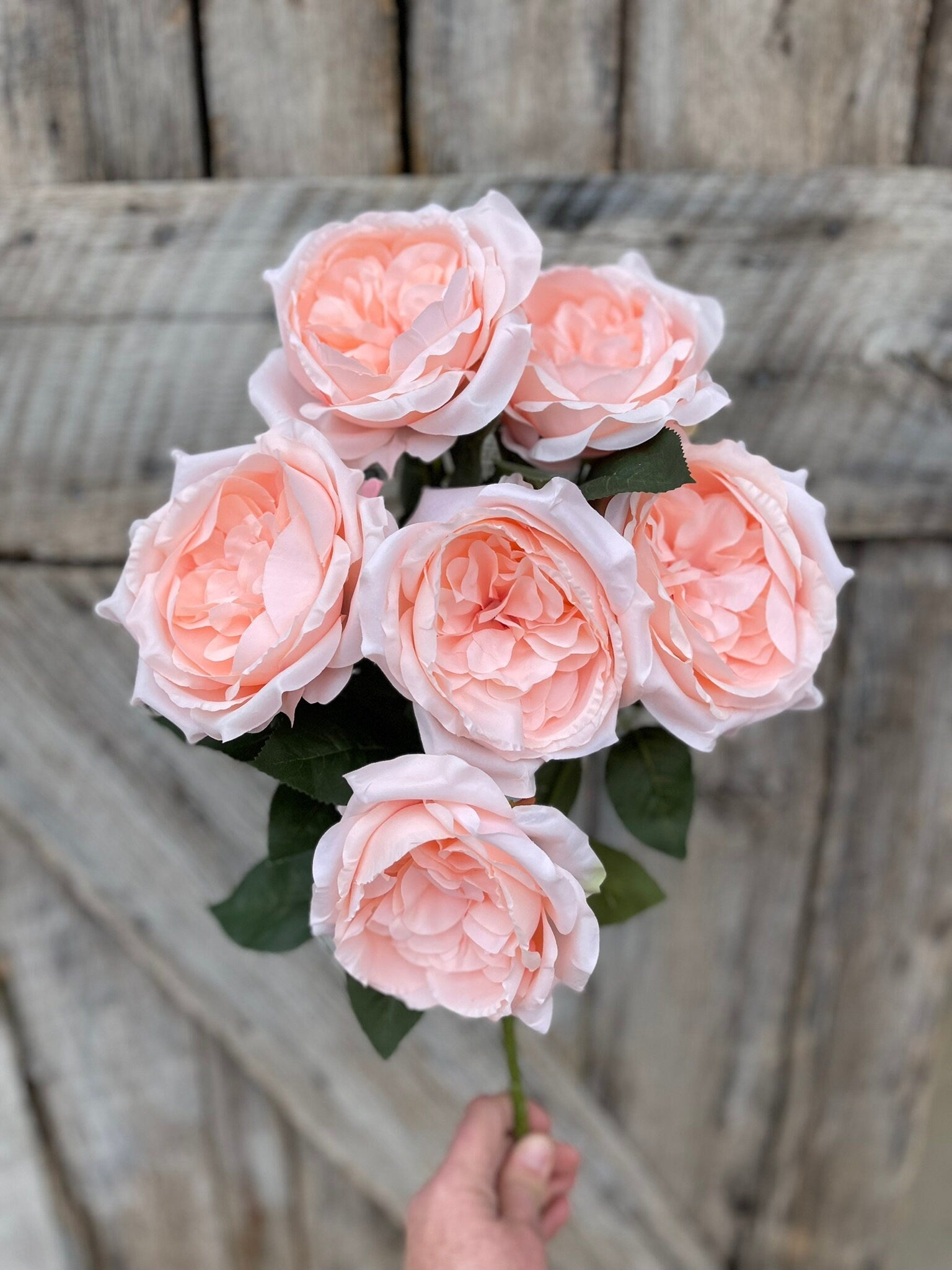 19" Blush English Garden Rose, Artificial Rose Bush